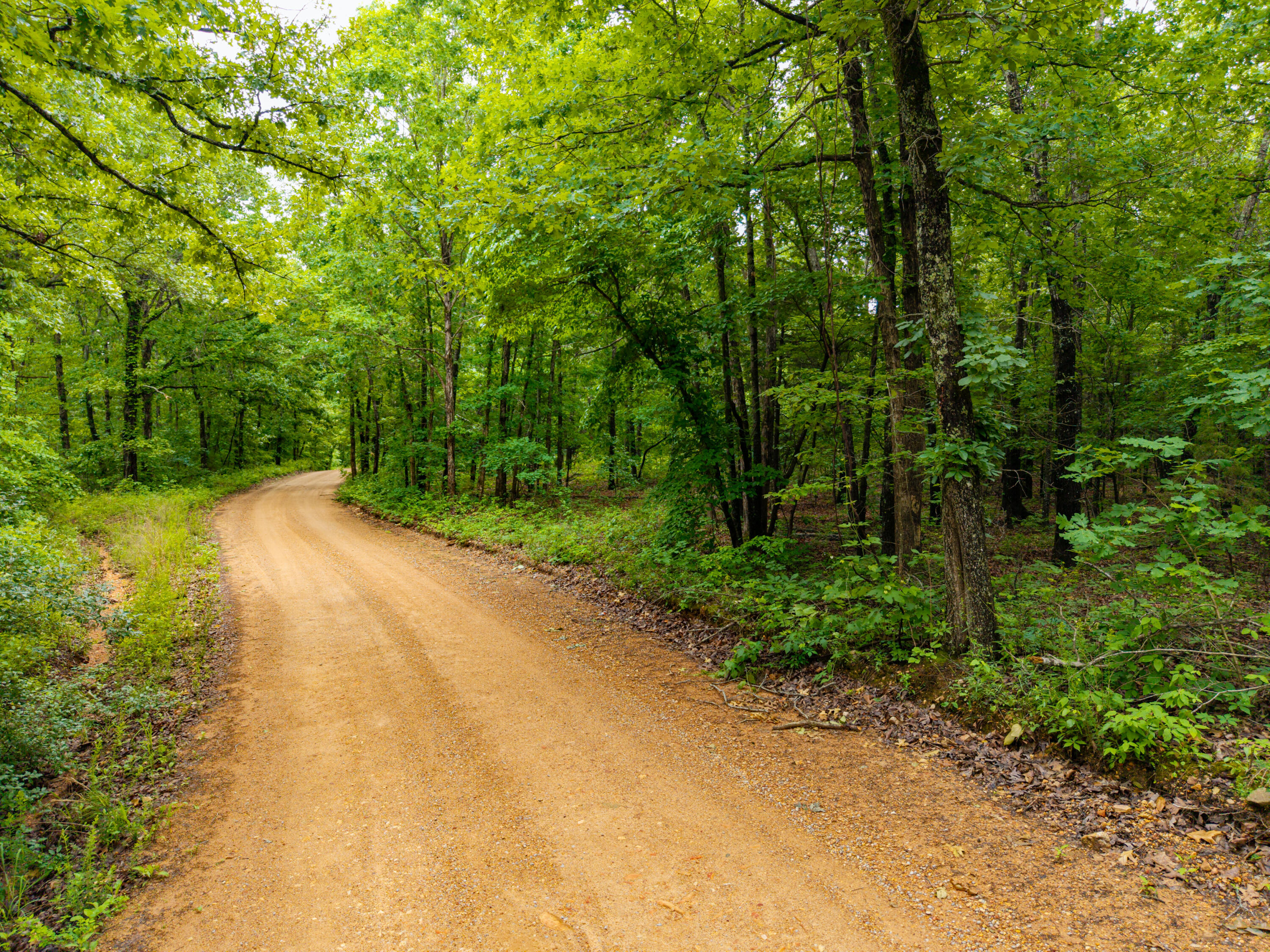 Photo of 000 Co Rd 521 #Tract 4 Hardenville MO 65666