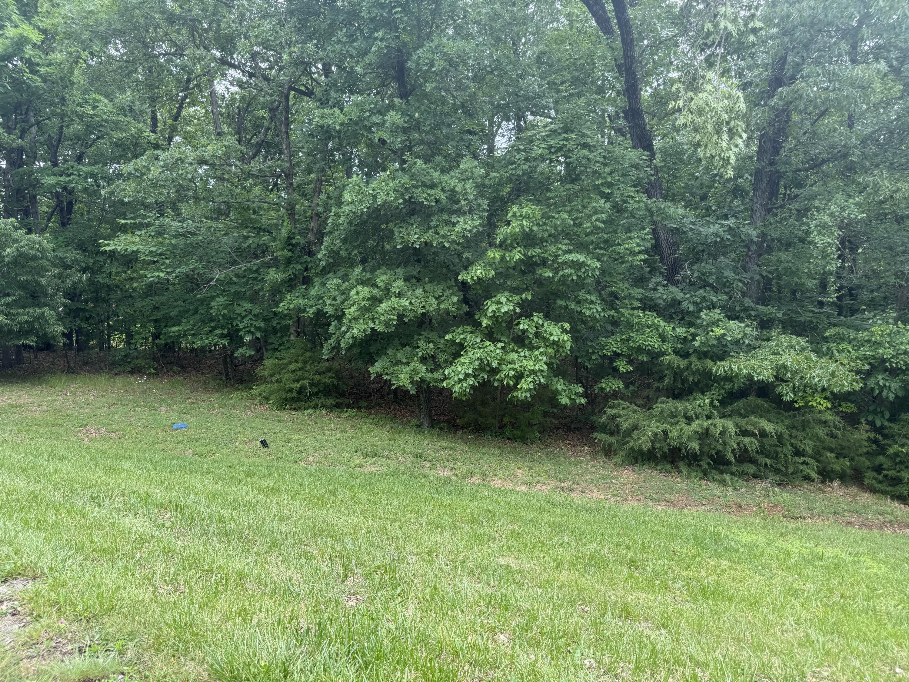 Photo of 5156 N Missouri Oak Trail #Lots 27 & 28 Springfield MO 65803