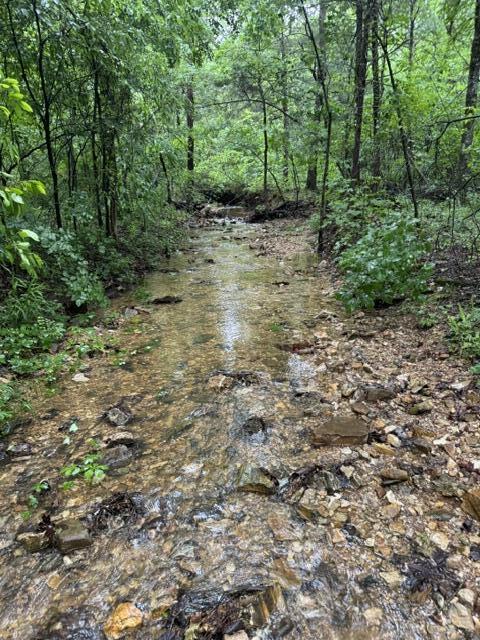 Photo of 645 Savage Road Kirbyville MO 65679