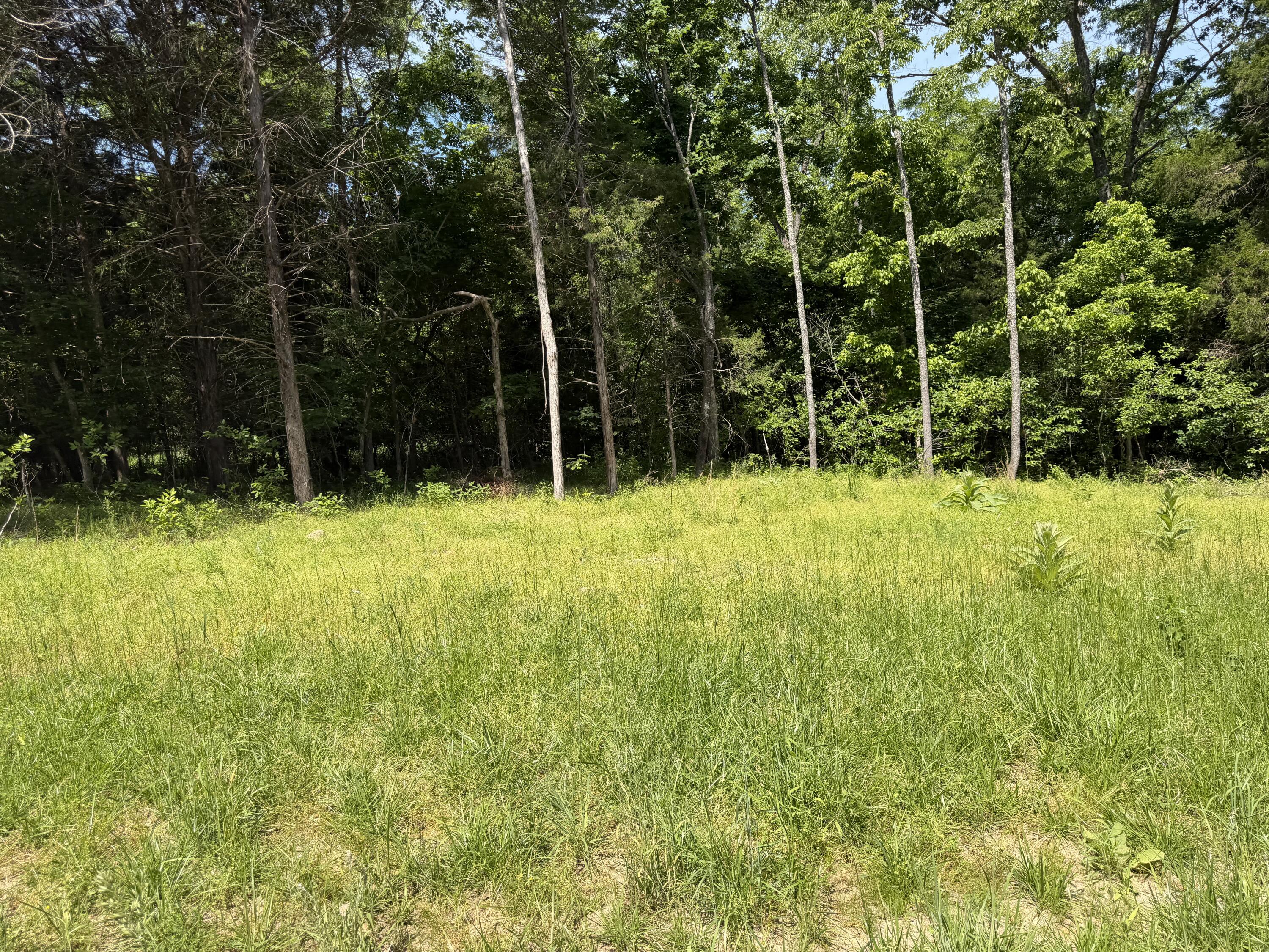 Photo of 000 County Road 318 #Lot 7 Tecumseh MO 65760