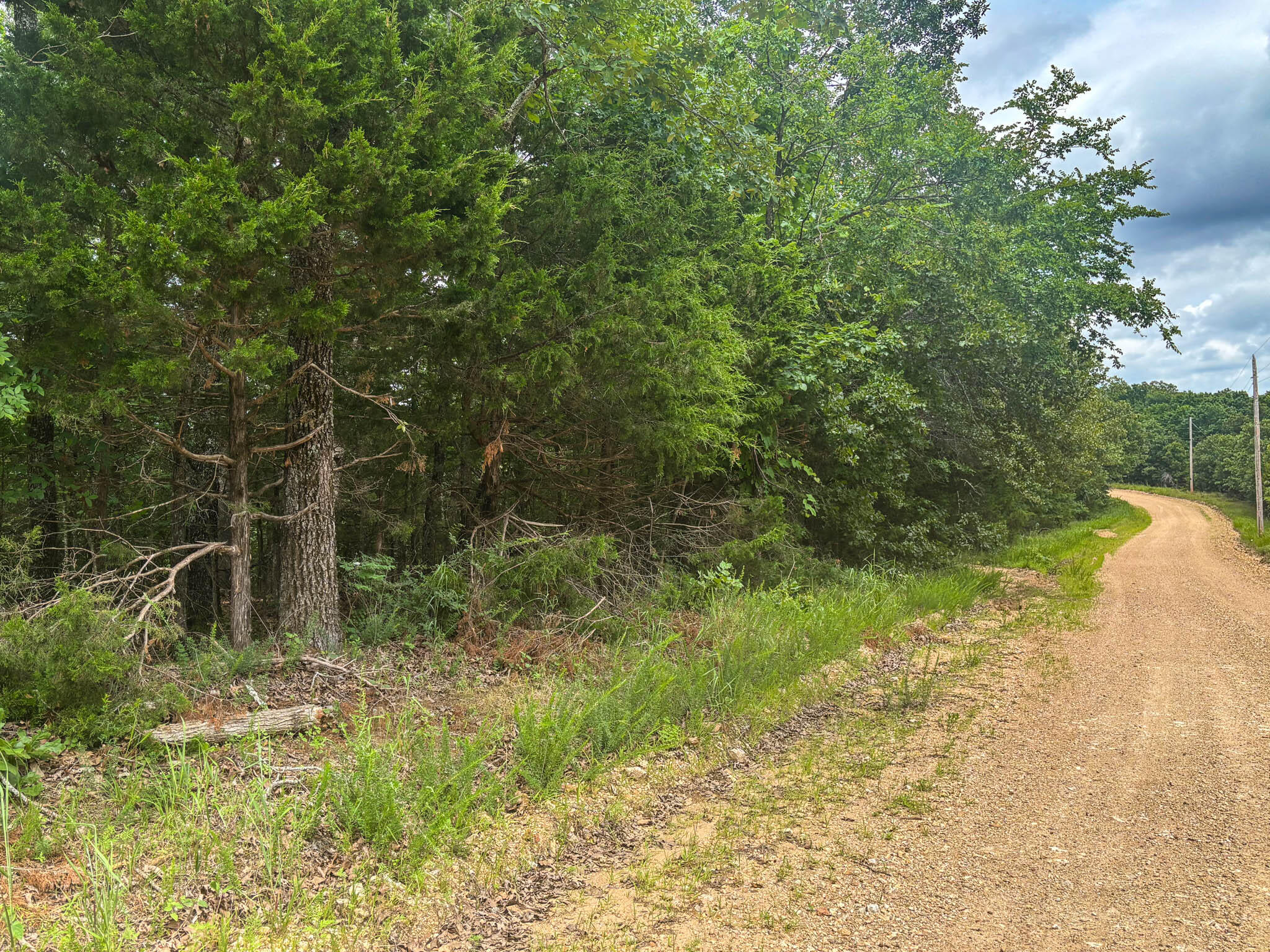 Photo of 000 County Road 815 Gainesville MO 65655