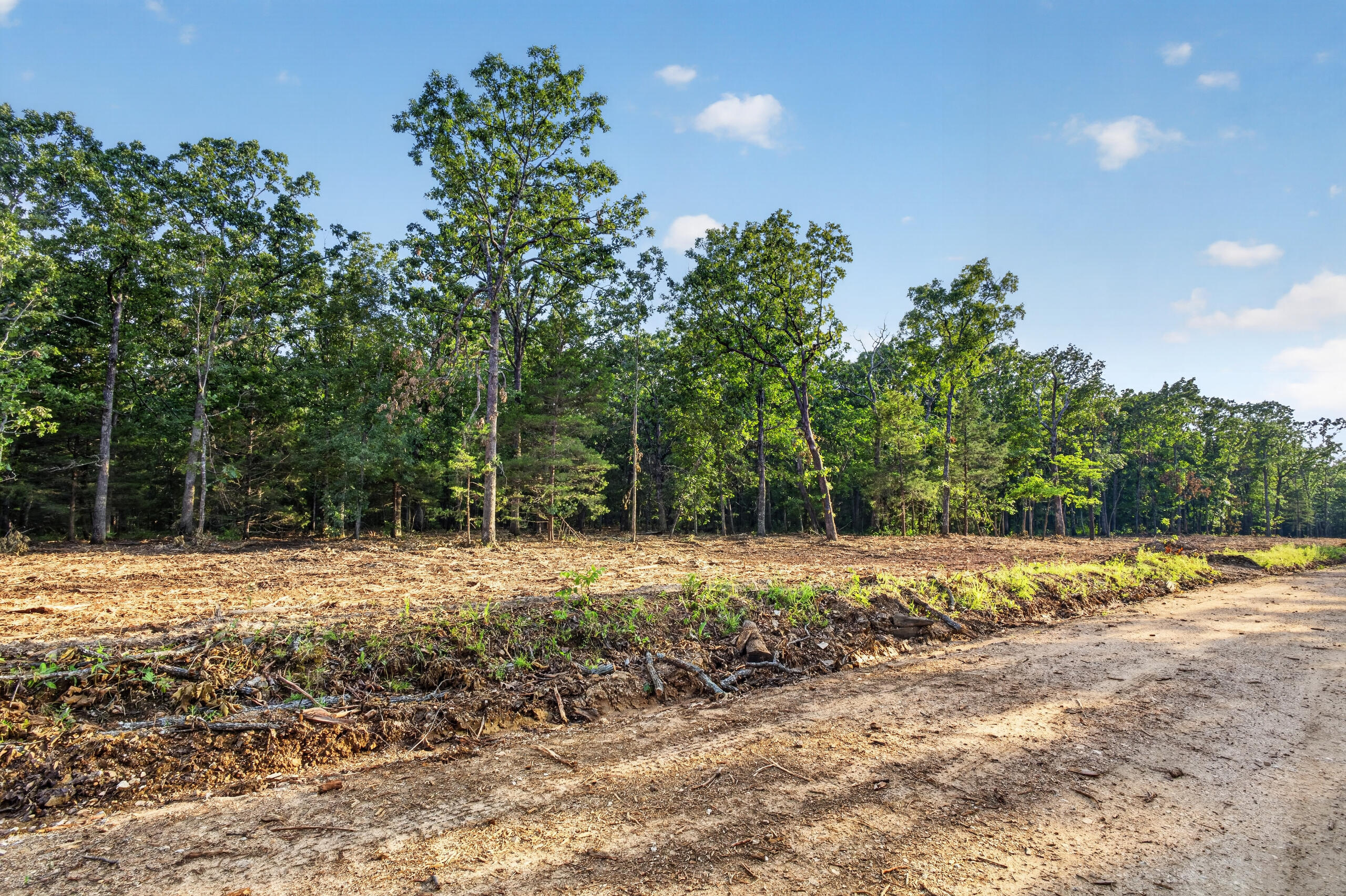 Photo of 004 Cantrell Road Mansfield MO 65704