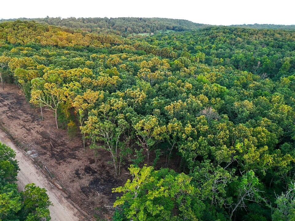 Photo of 003 Cantrell Road Mansfield MO 65704