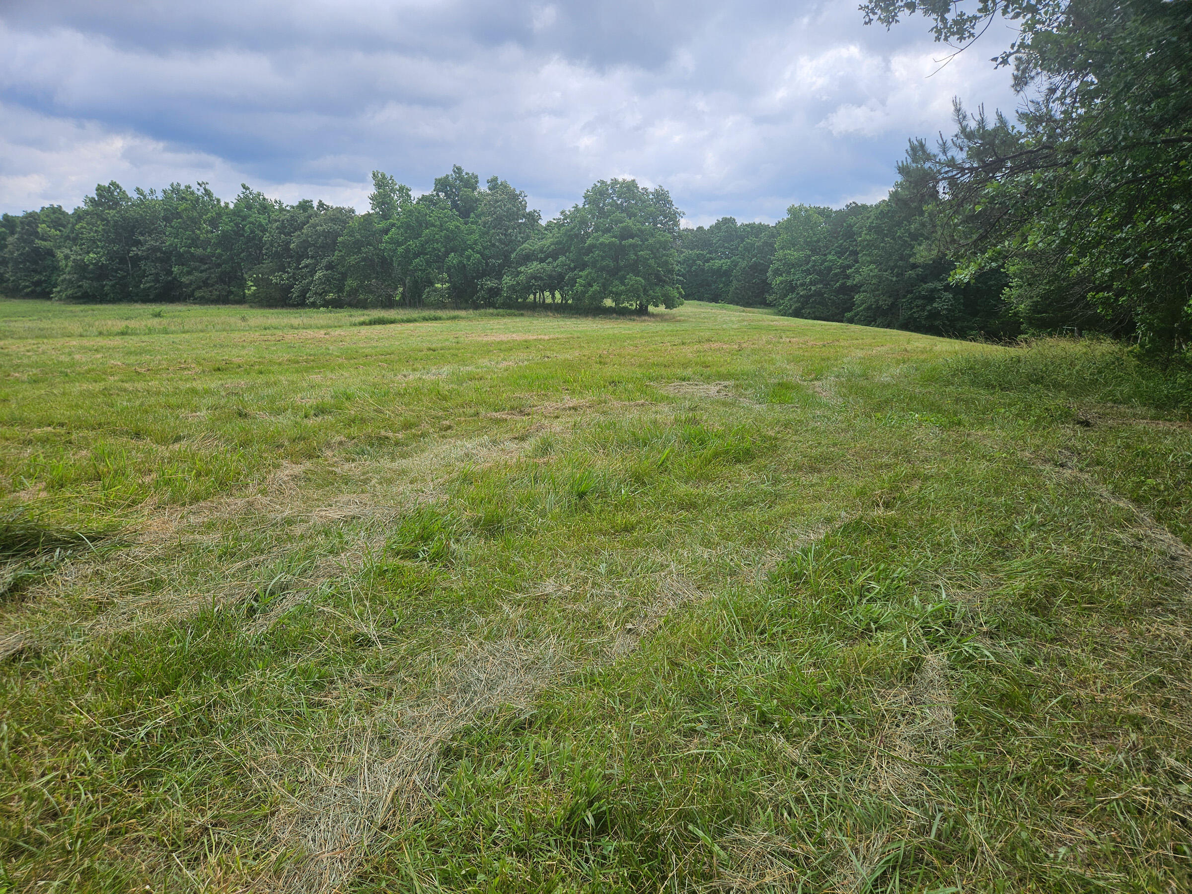 Photo of 10504 County Road 471 Birch Tree MO 65438