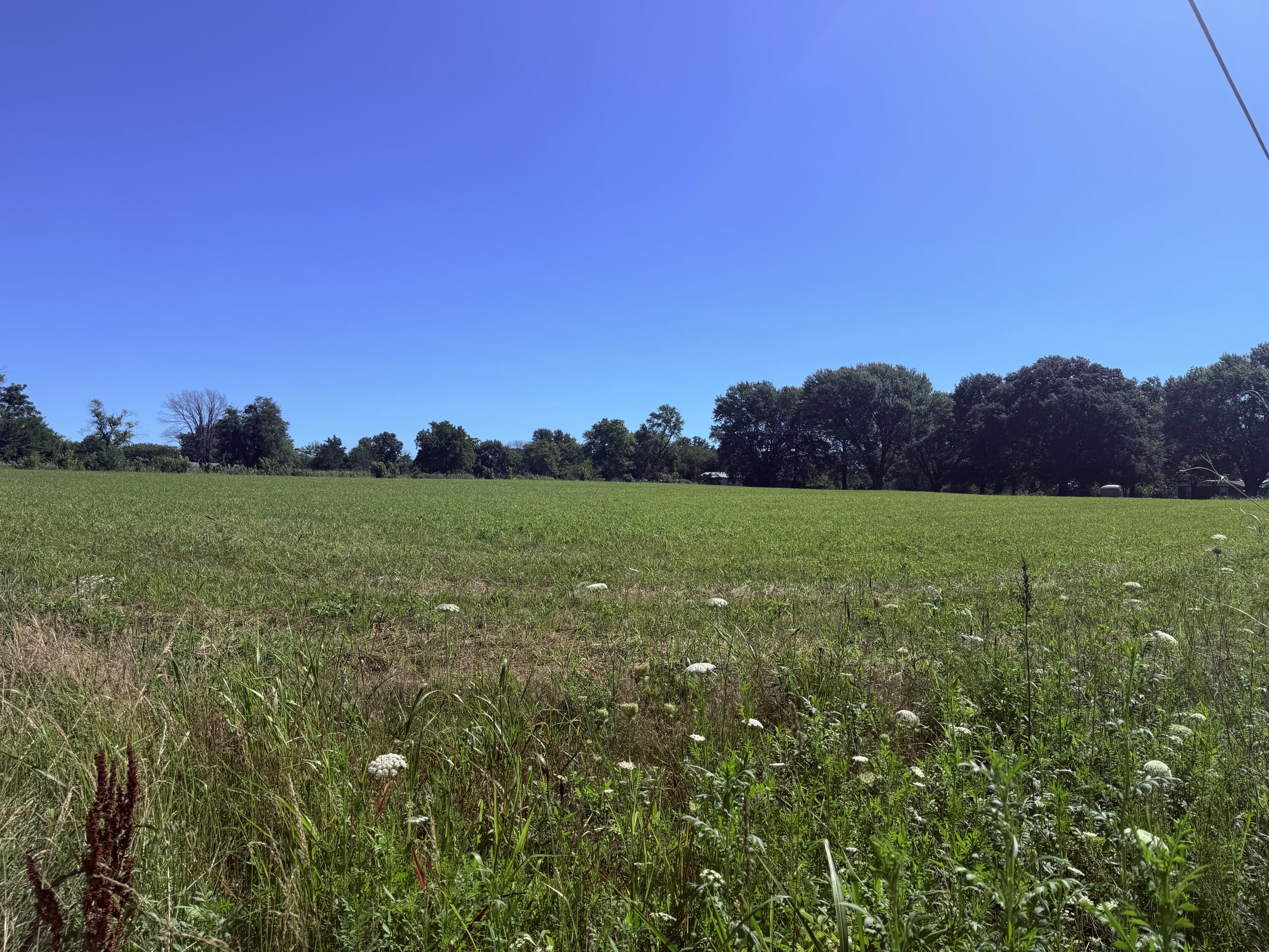 Photo of Tbd N Maple Street Dadeville MO 65635