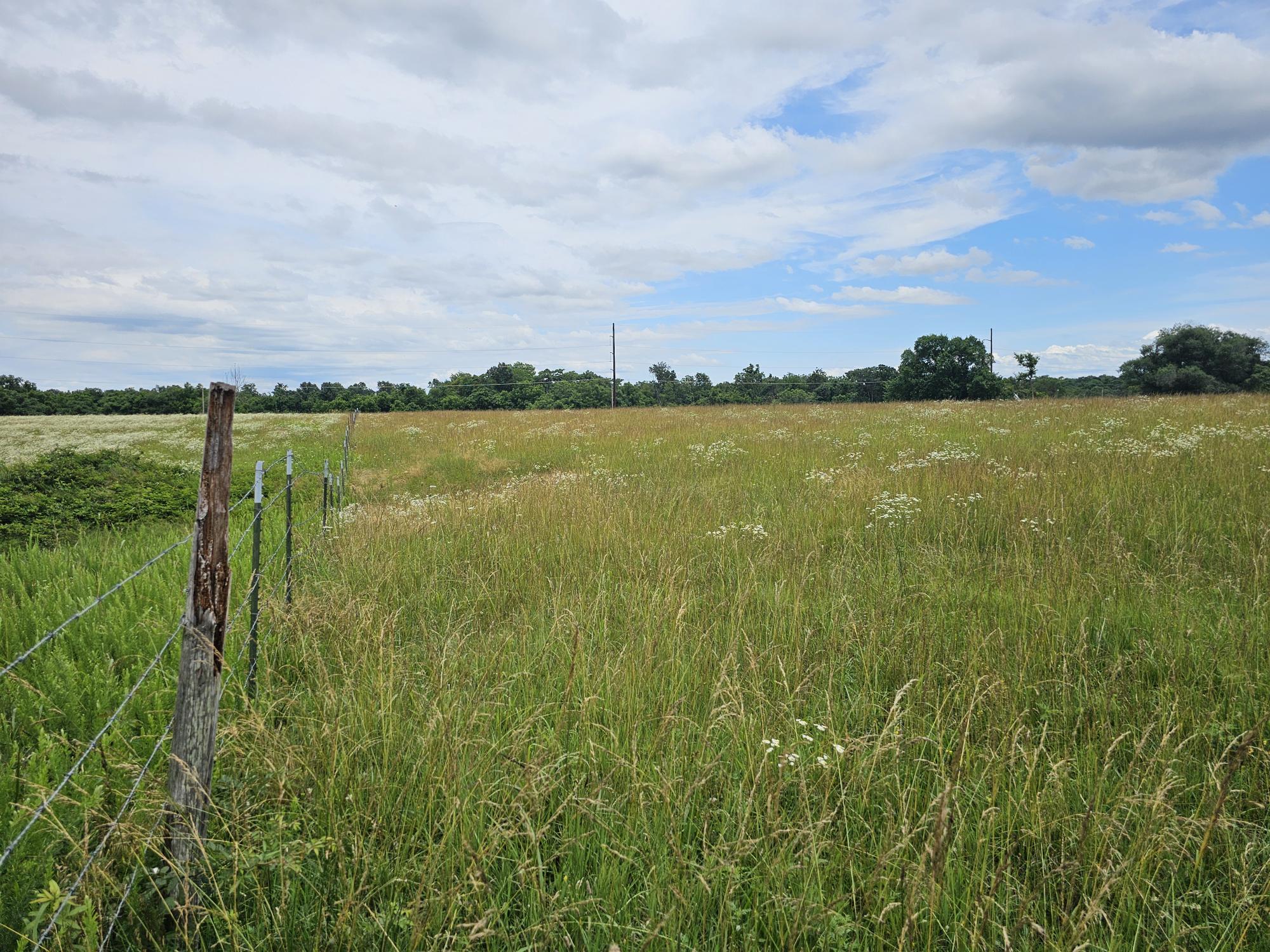 Photo of Lot 8 Lightning Bug Lane Goodman MO 64843
