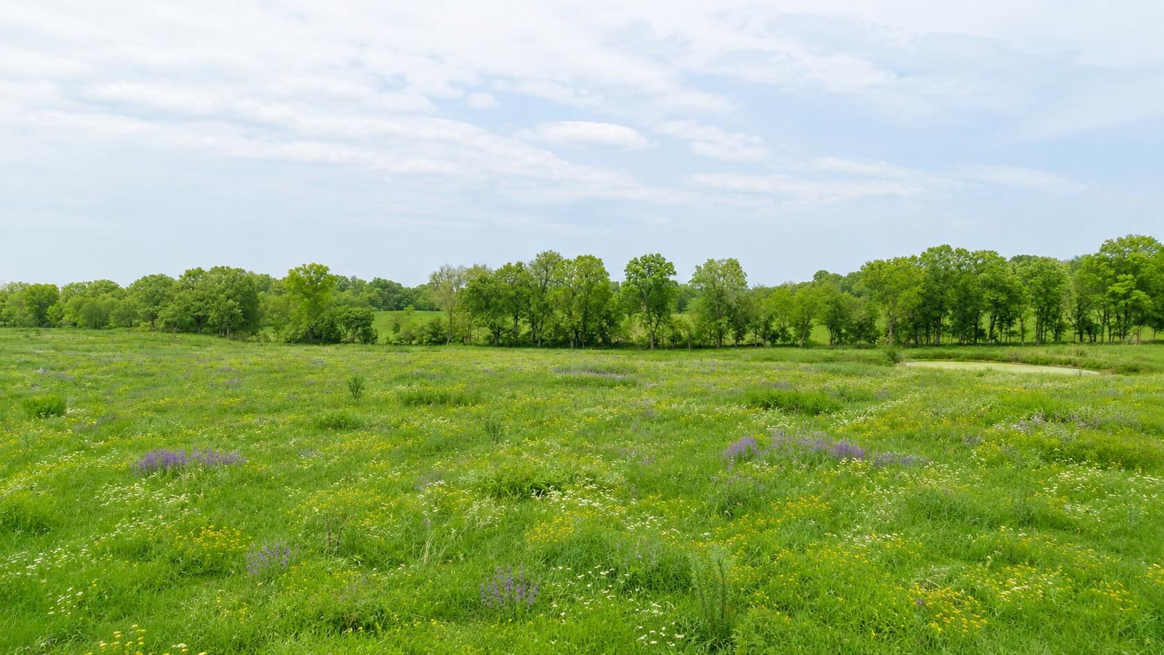 Photo of 000 County Road 417 Alton MO 65606