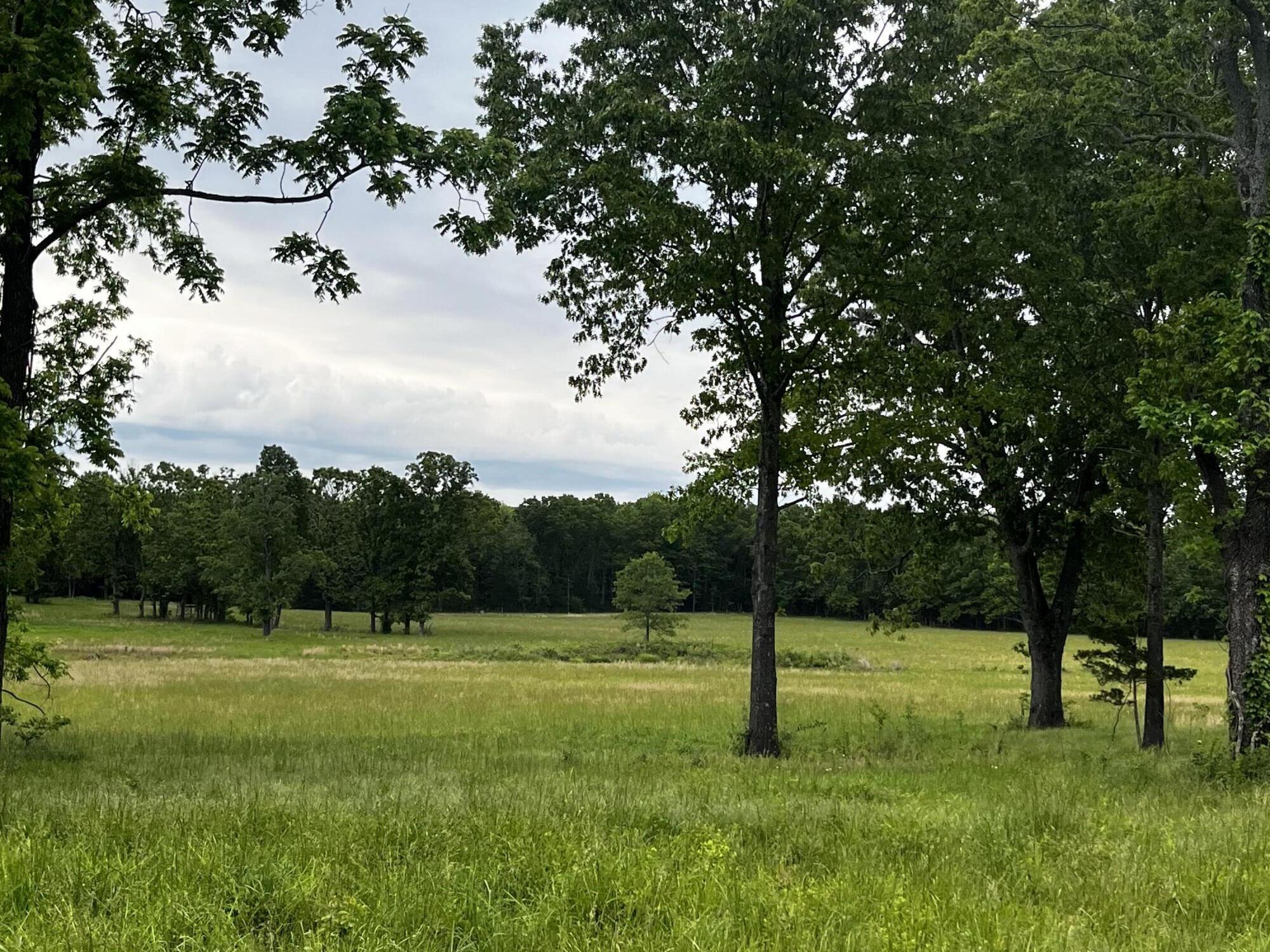 Photo of 000 County Road 8470 West Plains MO 65775