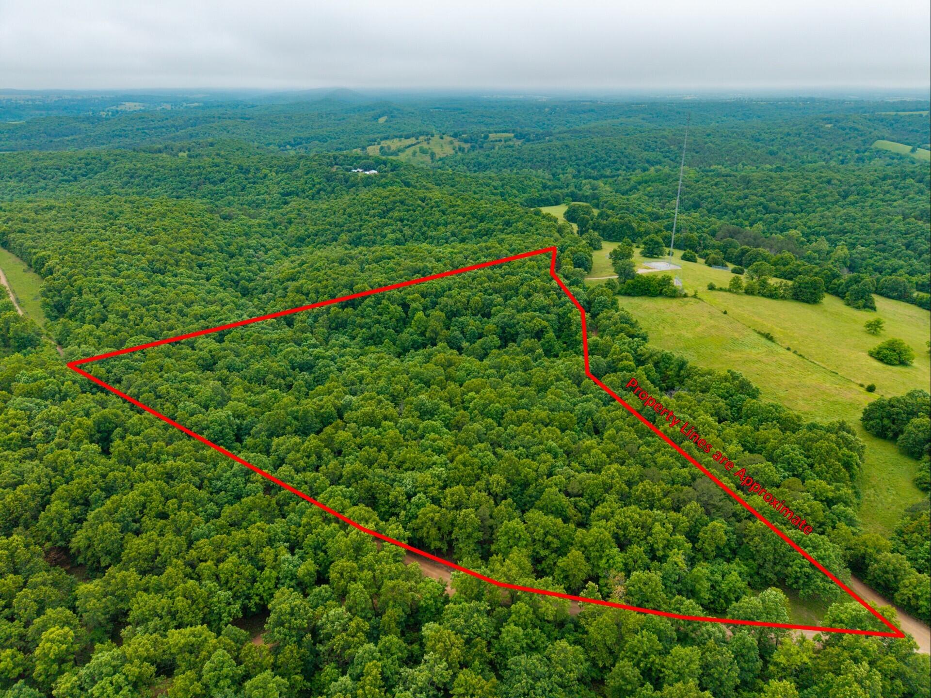 Photo of 000 Co Rd 519 #Tract 3 Hardenville MO 65666