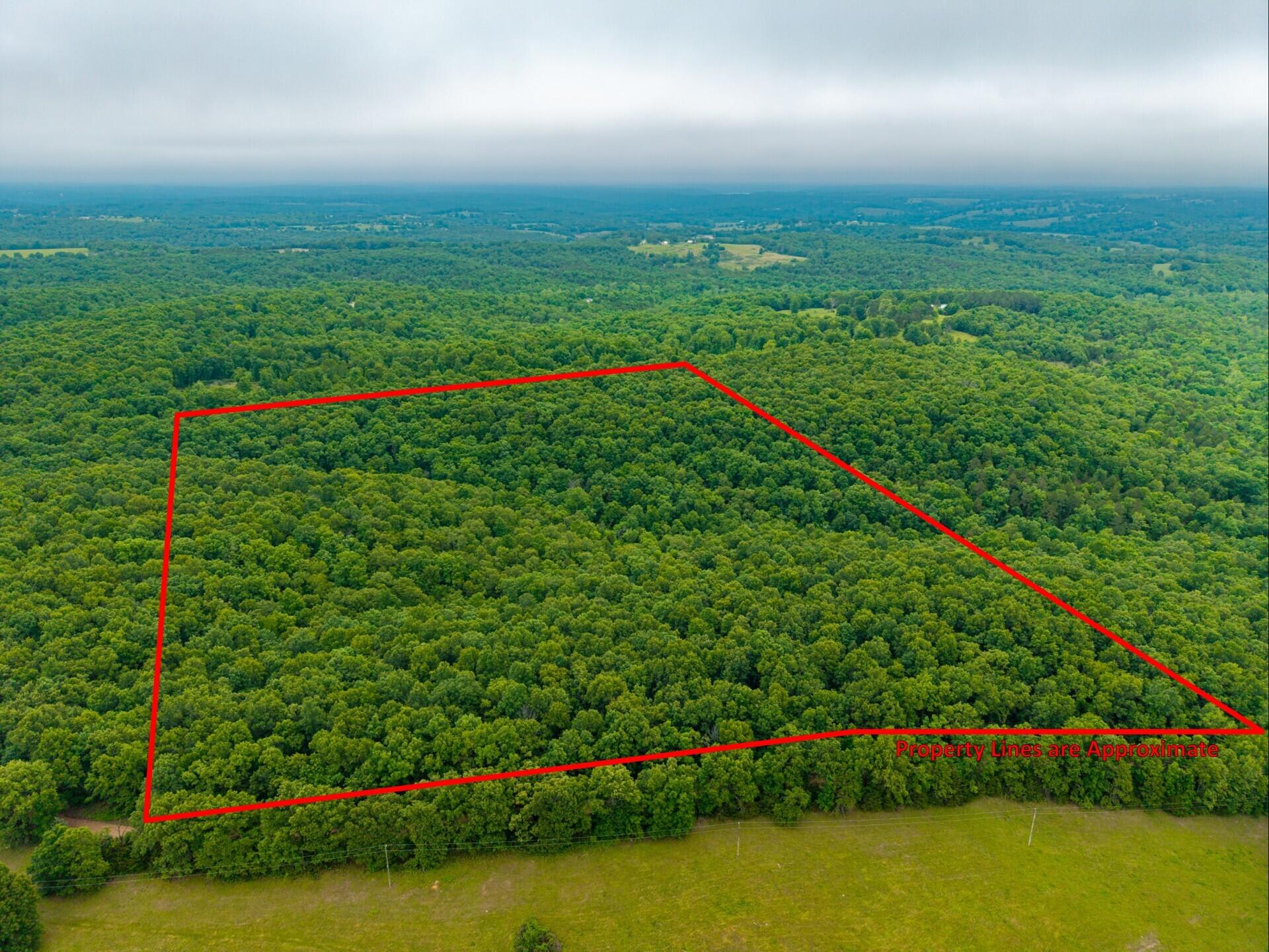 Photo of 000 Co Rd 519 #Tract 2 Hardenville MO 65666