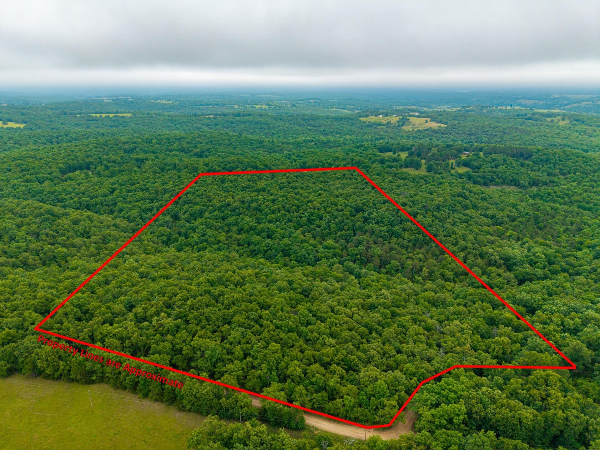 Photo of 000 Co Rd 519 #Tract 1 Hardenville MO 65666