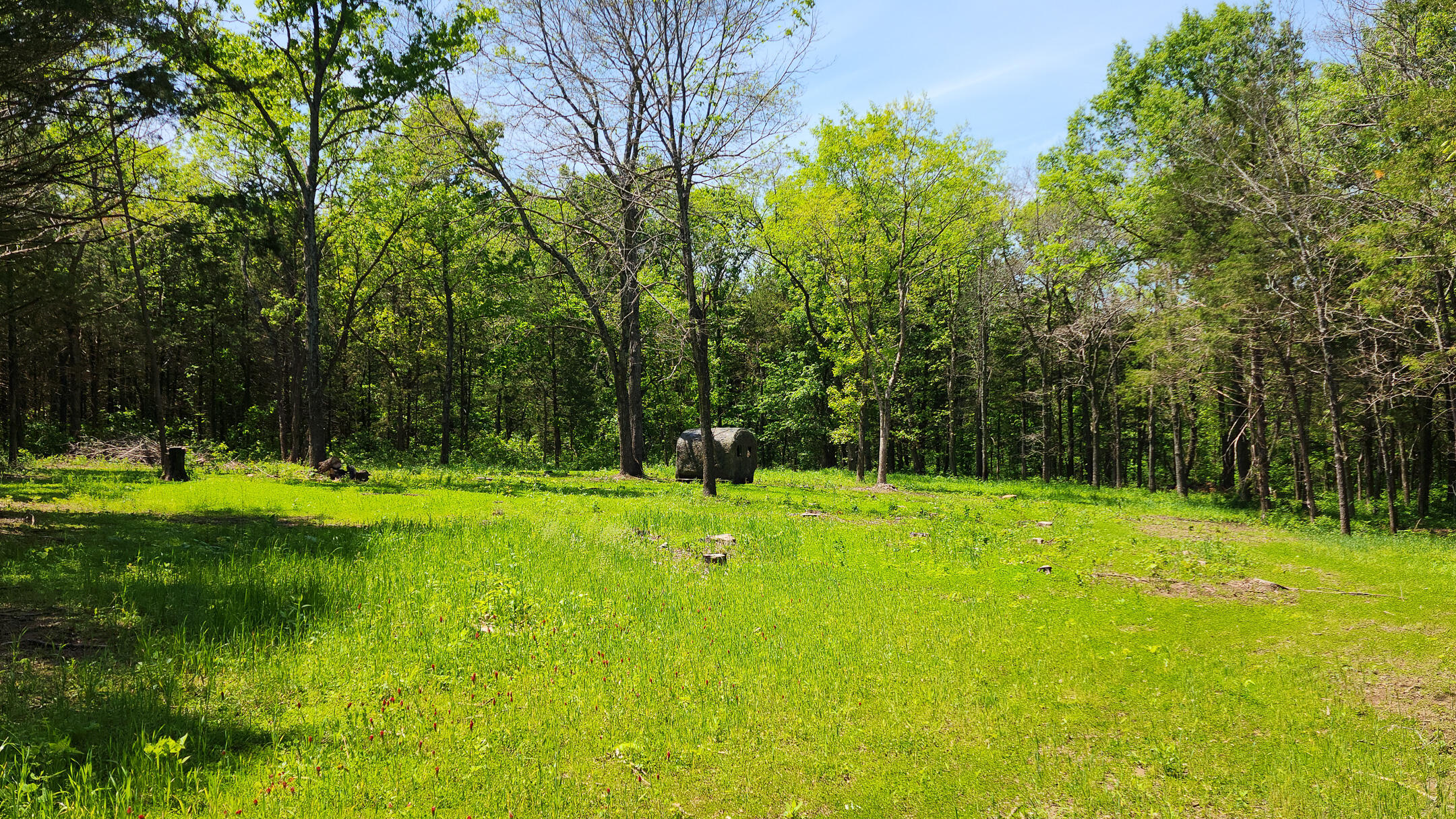 Photo of 000 County Road 333 Polk MO 65727