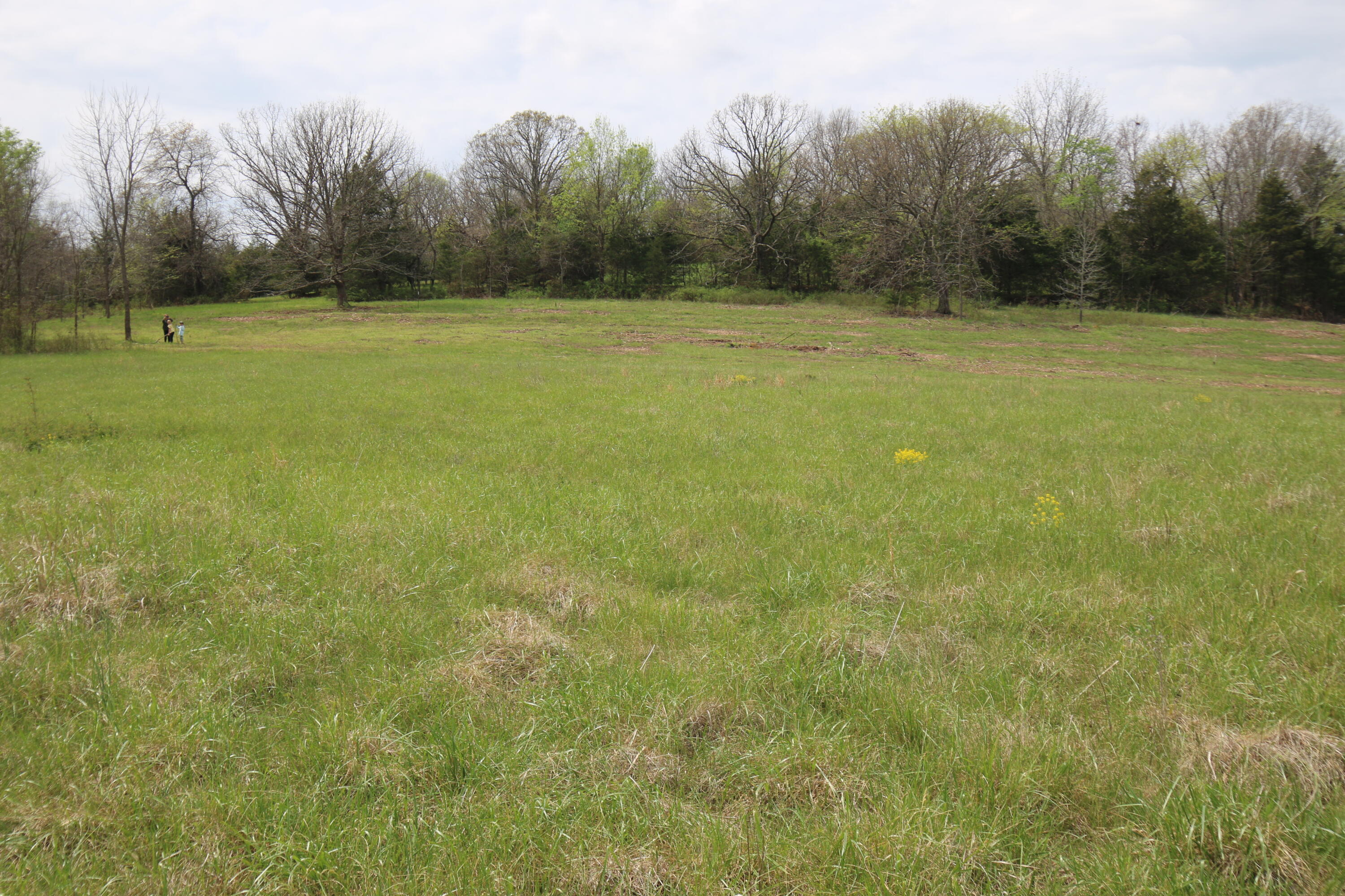 Photo of 000 River Pass Drive Drive #Lot 6 & 11 Marshfield MO 65706