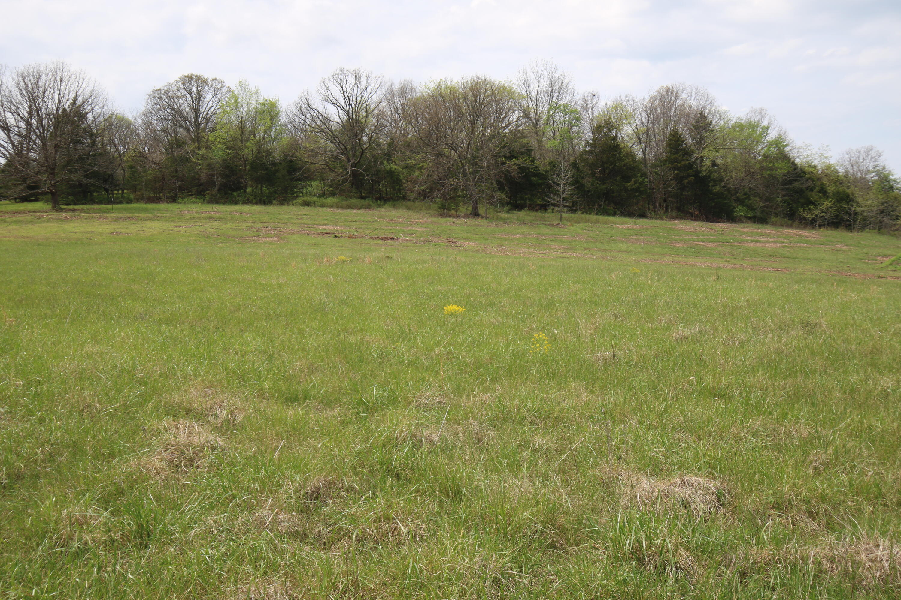 Photo of 000 River Pass Drive #Lot 11 Marshfield MO 65706