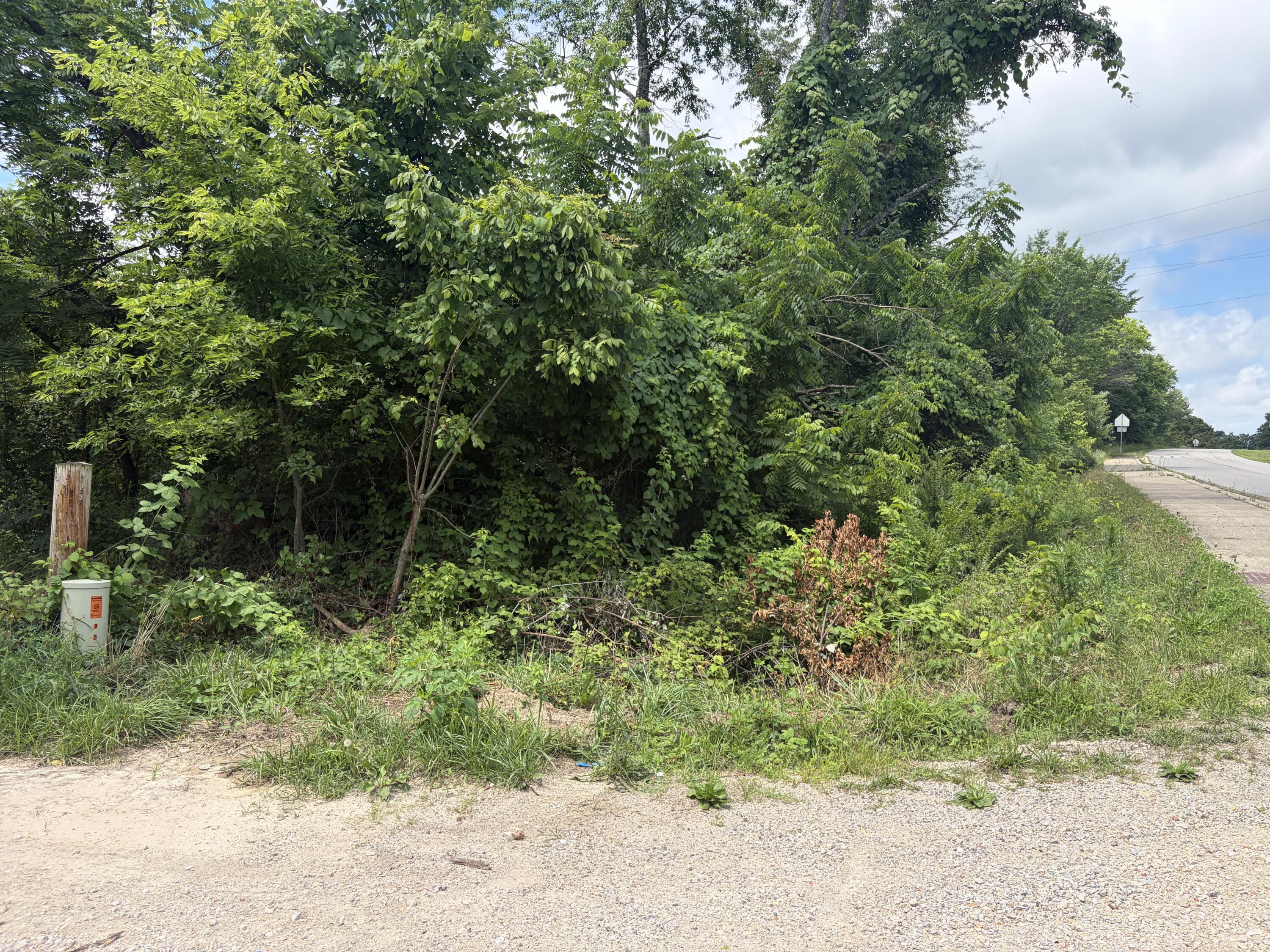 Photo of 000 Ward Street Birch Tree MO 65438