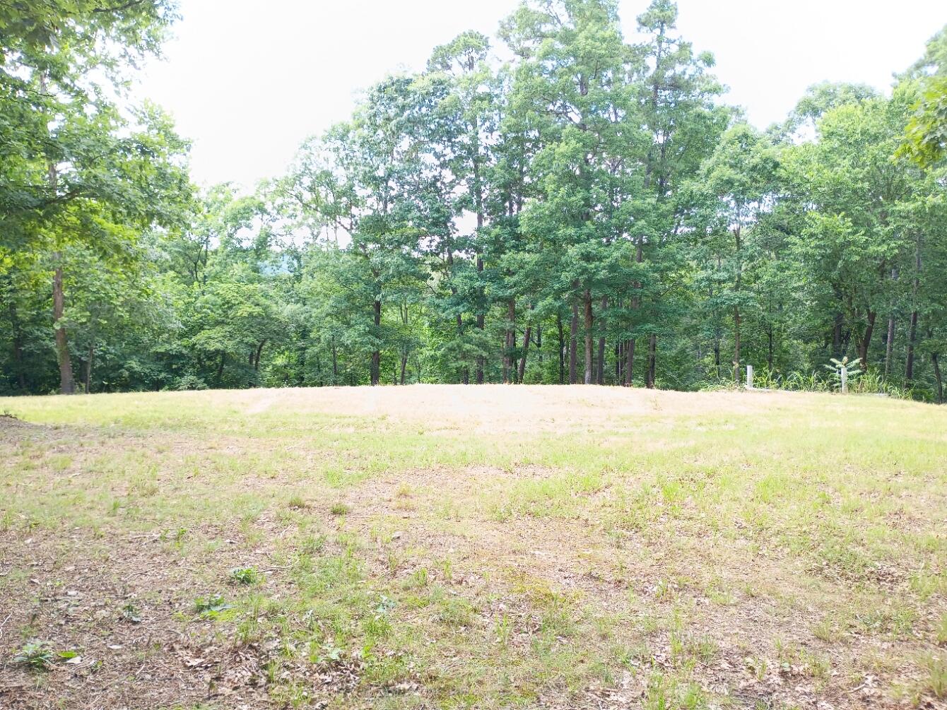 Photo of 5161 State Highway H Noel MO 64854