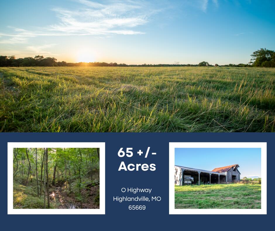 Photo of 000 State Highway O Highlandville MO 65669