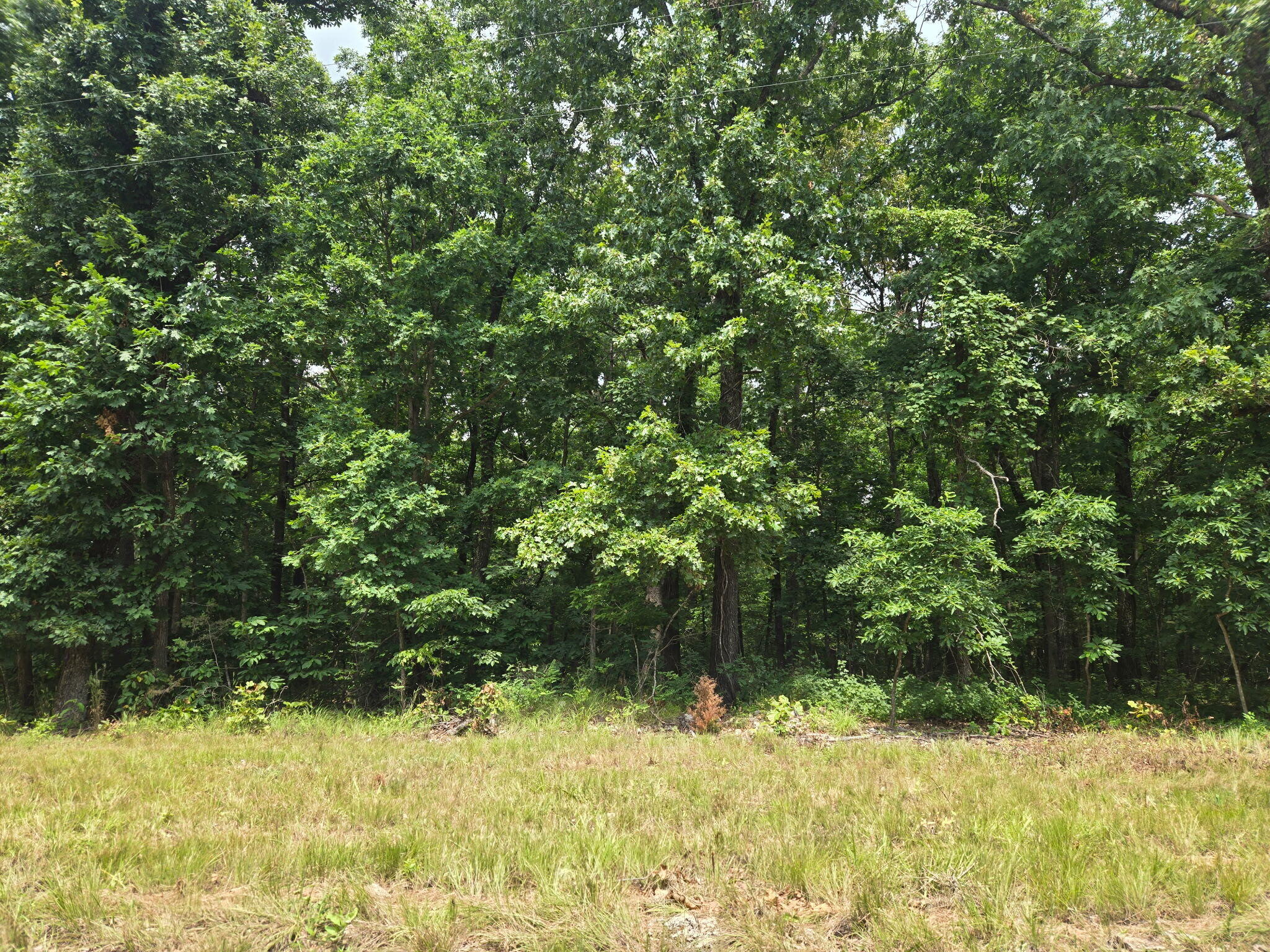 Photo of 001 Muleshoe Trail Elkland MO 65644