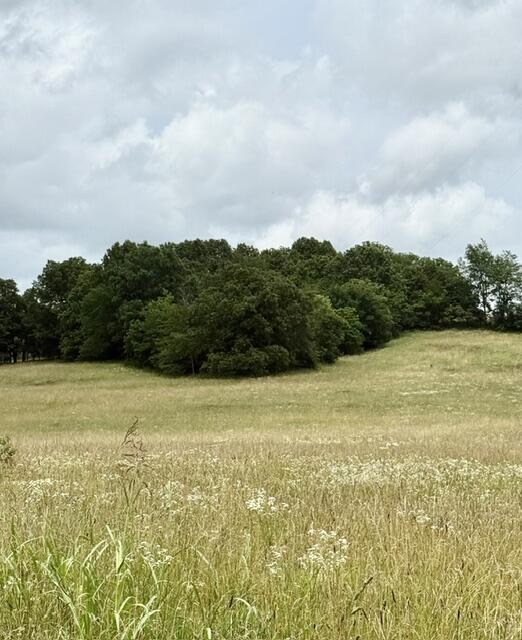 Photo of 10.2 Acres Stewerd Drive Fordland MO 65652