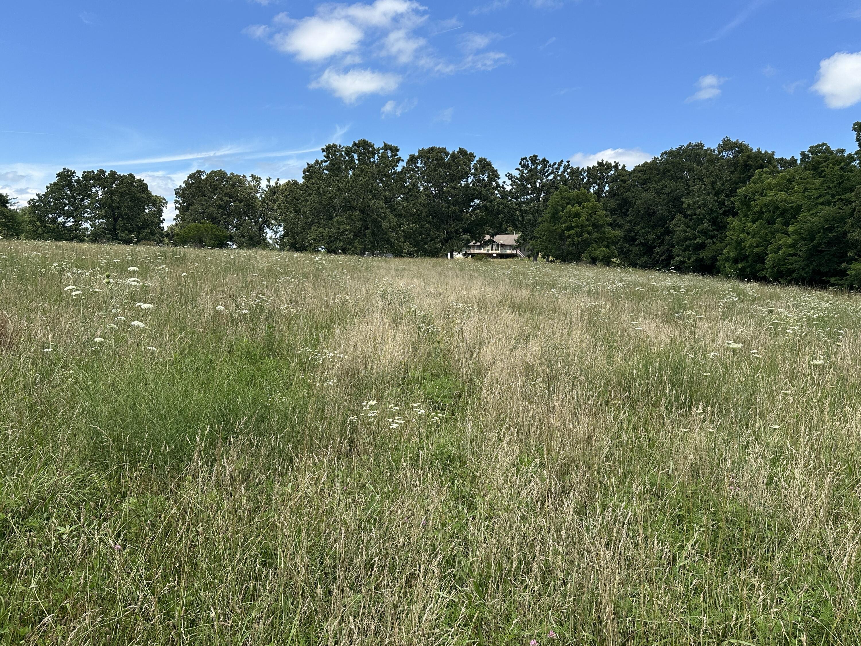 Photo of 8000 Highway Jj Mountain Grove MO 65711