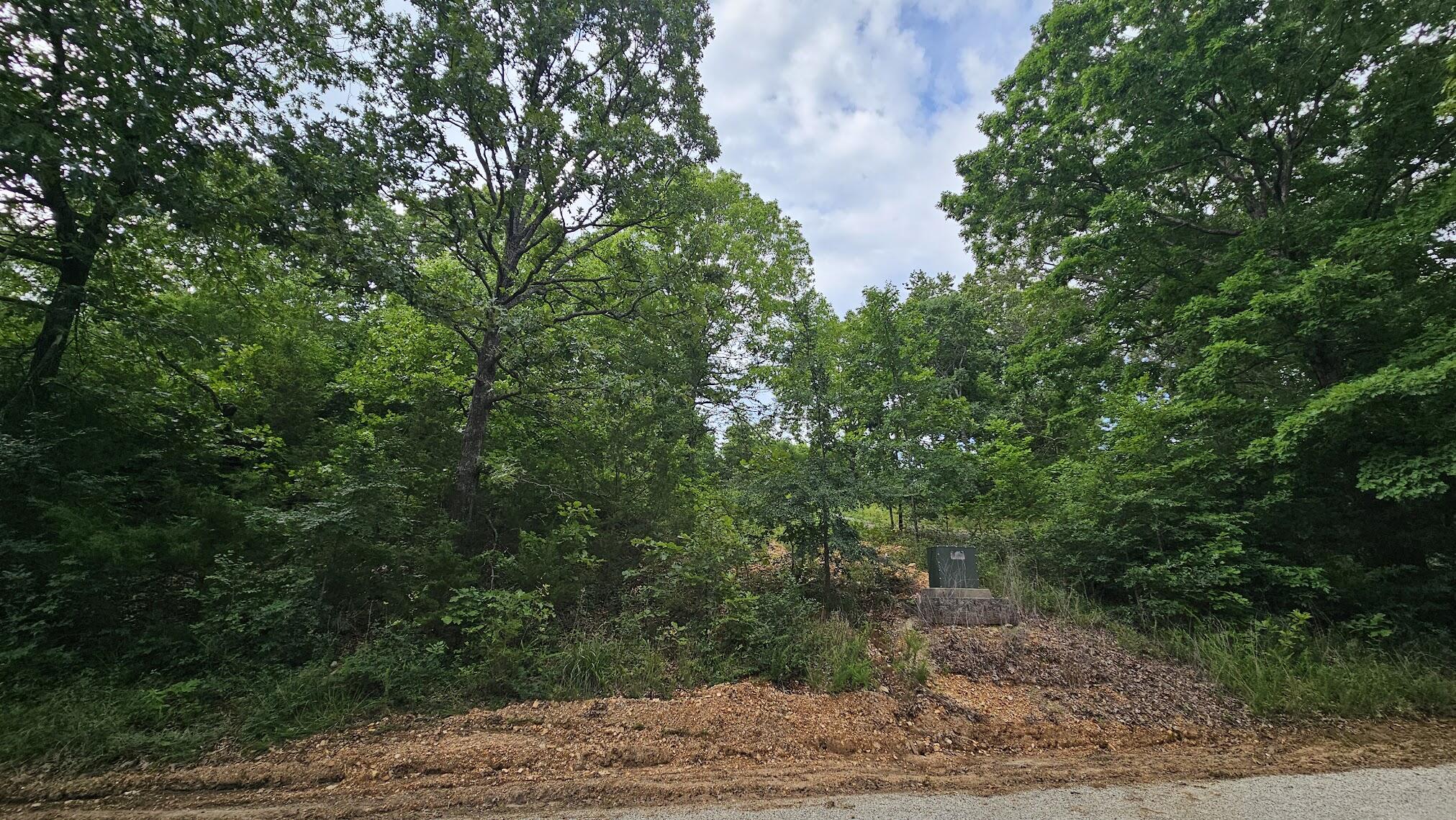 Photo of Lot #13 Hanging Branch Cape Fair MO 65624