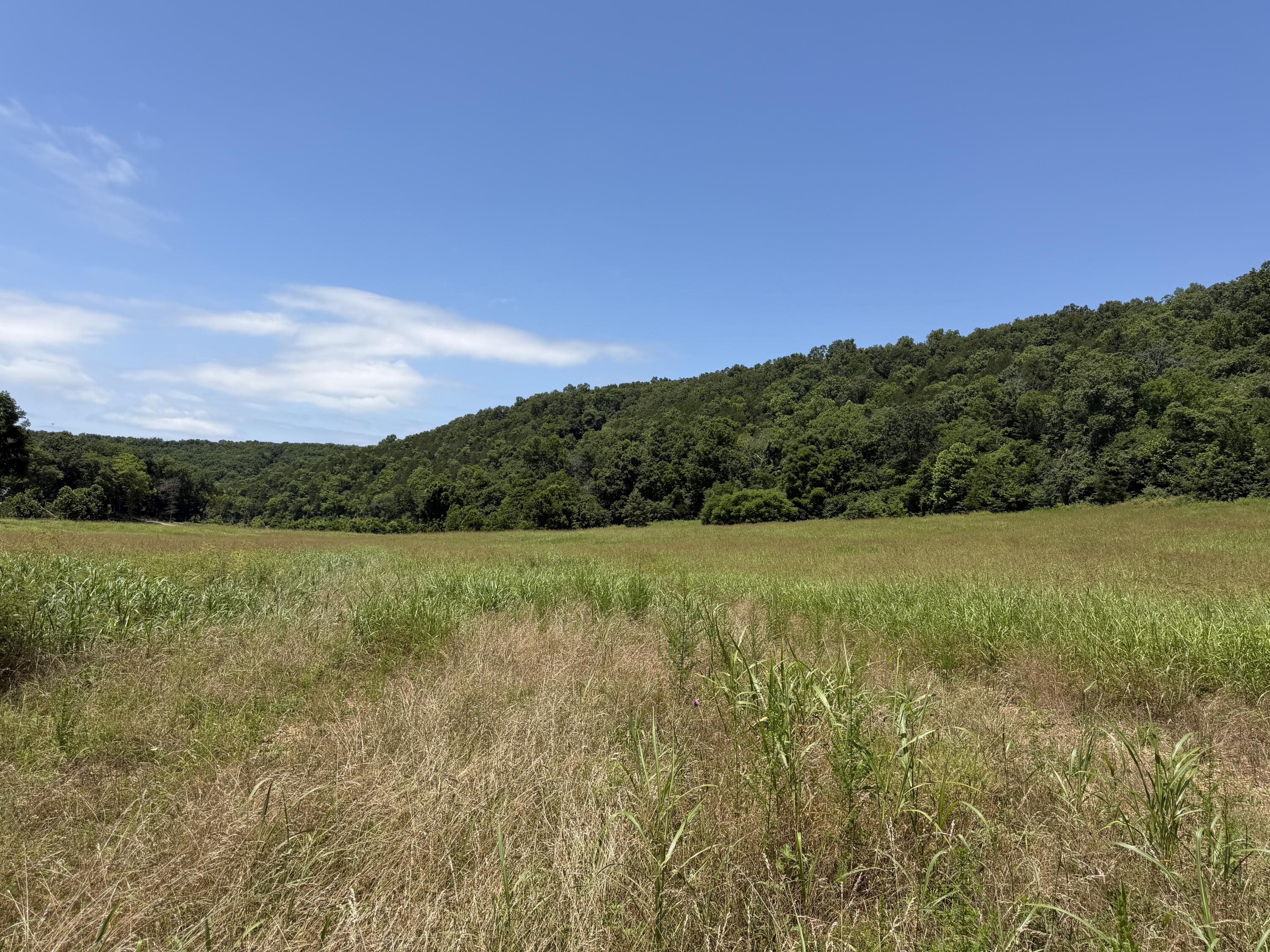 Photo of 000 Northfork Village St. Lot 1 Street Tecumseh MO 65760