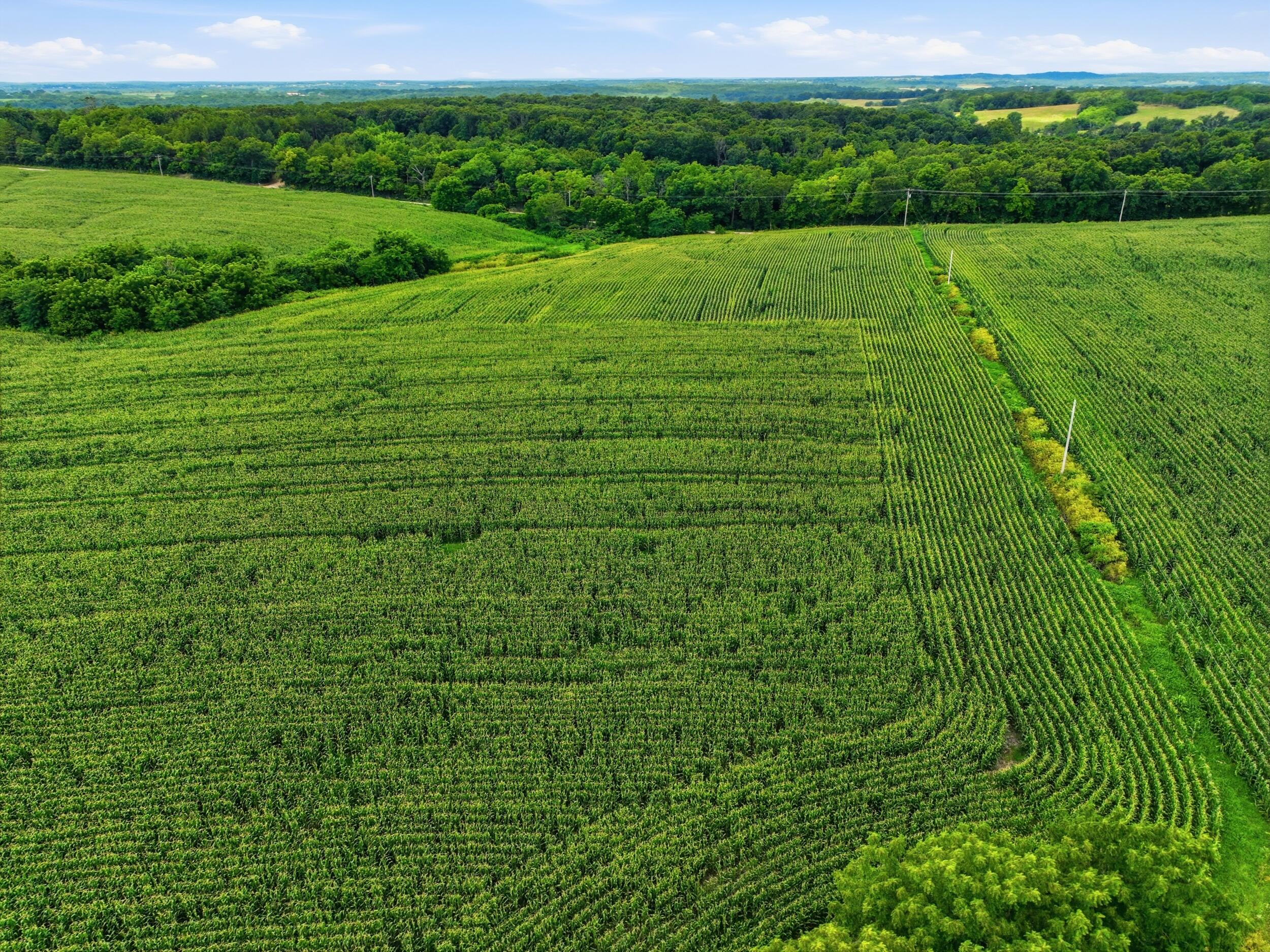Photo of 000 Gravel Point Road #2 Mountain Grove MO 65711