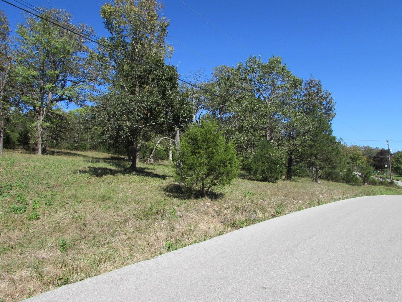 Photo of Tbd Green Briar Drive Branson MO 65616
