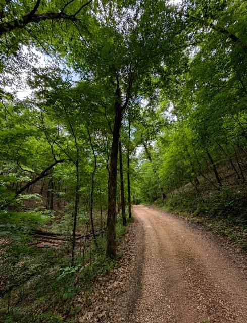 Photo of 000 Oak Thicket Lane Galena MO 65656
