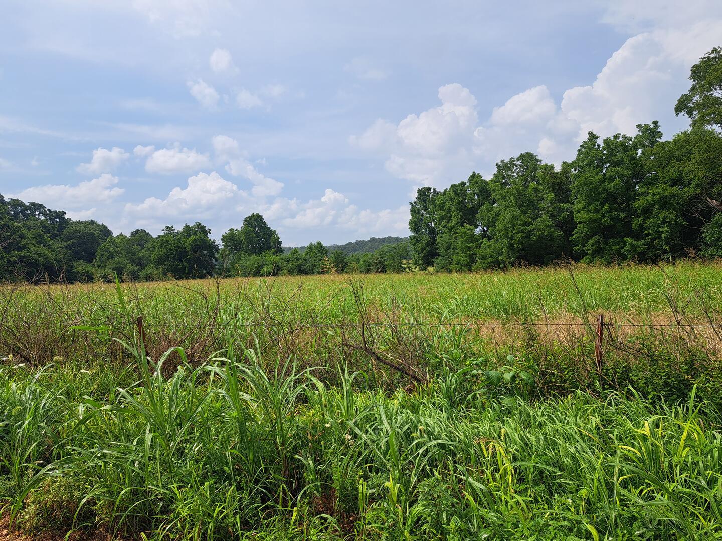 Photo of 000 Reindeer Road Granby MO 64844