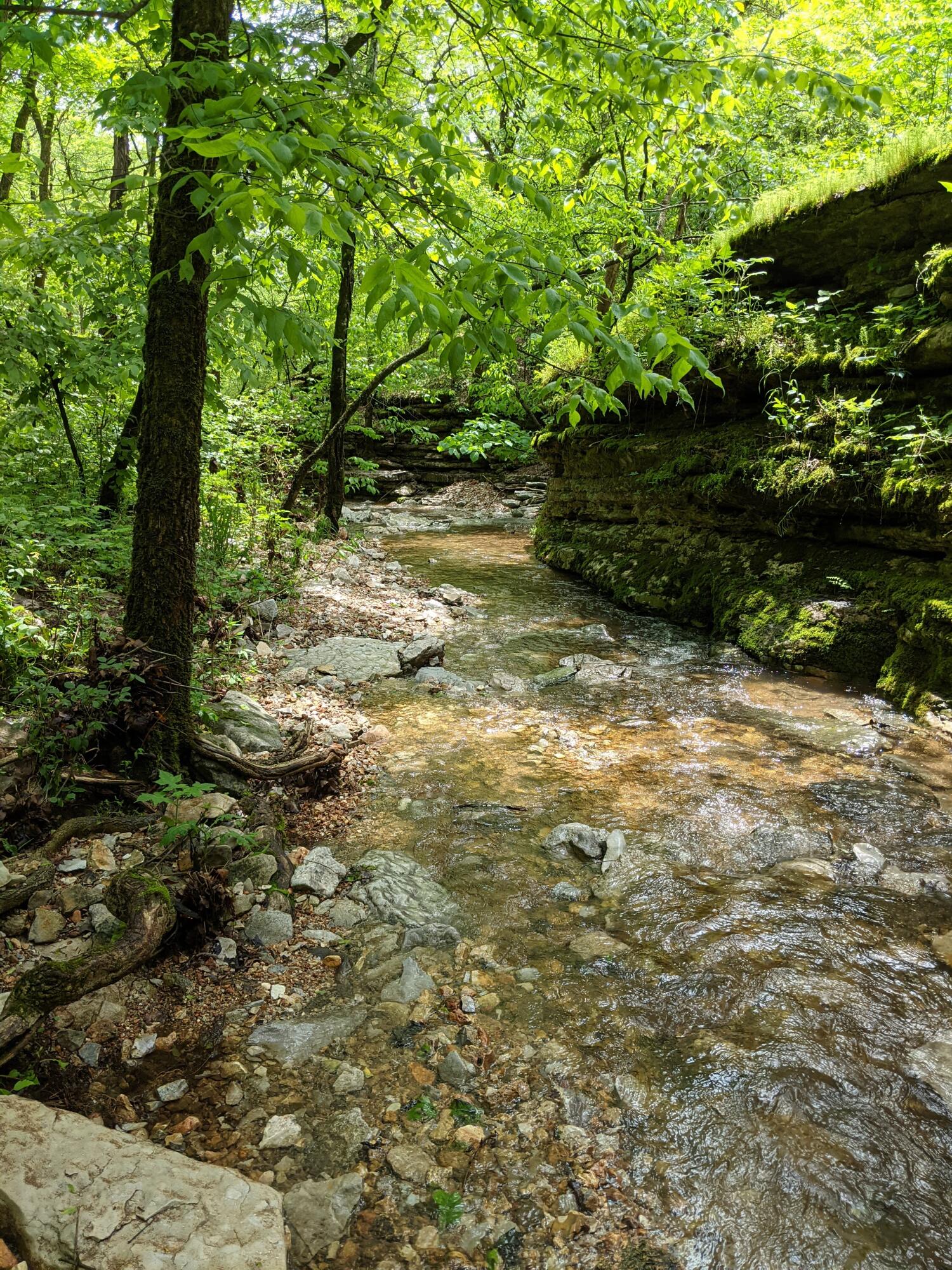 Photo of 000 Coyote Ridge Road Cassville MO 65625