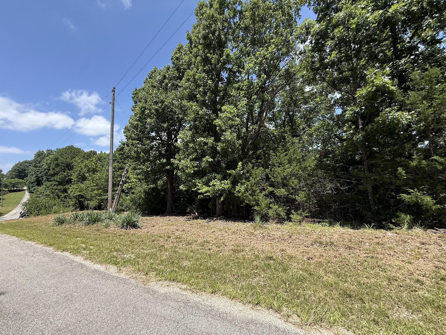 Photo of Lot 14&15 Mountain Estate Drive Blue Eye MO 65611