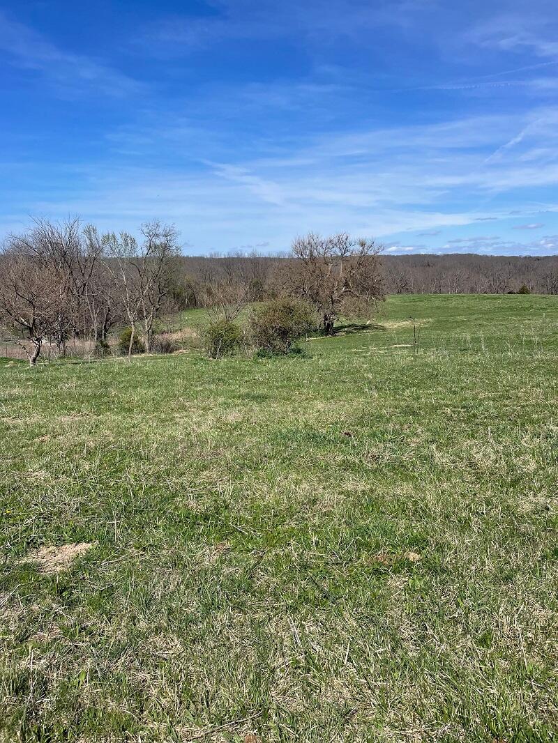 Photo of 5620 Silver Lake Road Clever MO 65631