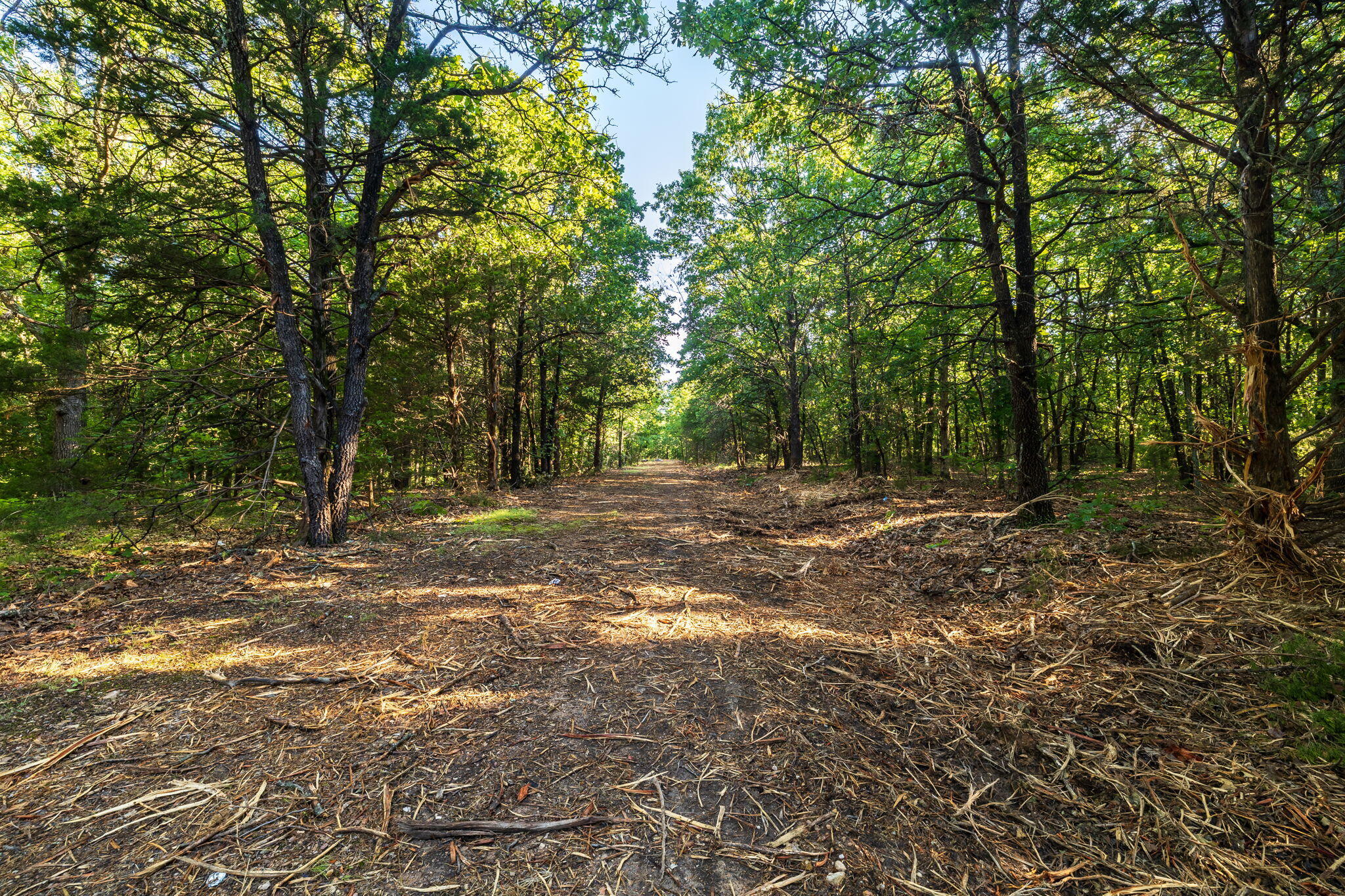 Photo of 000 SE T Highway Osceola MO 64776