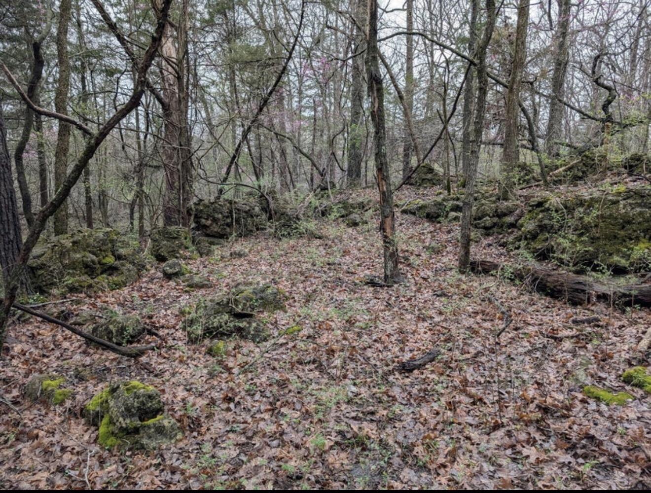 Photo of 000 Grier Branch Road Strafford MO 65757