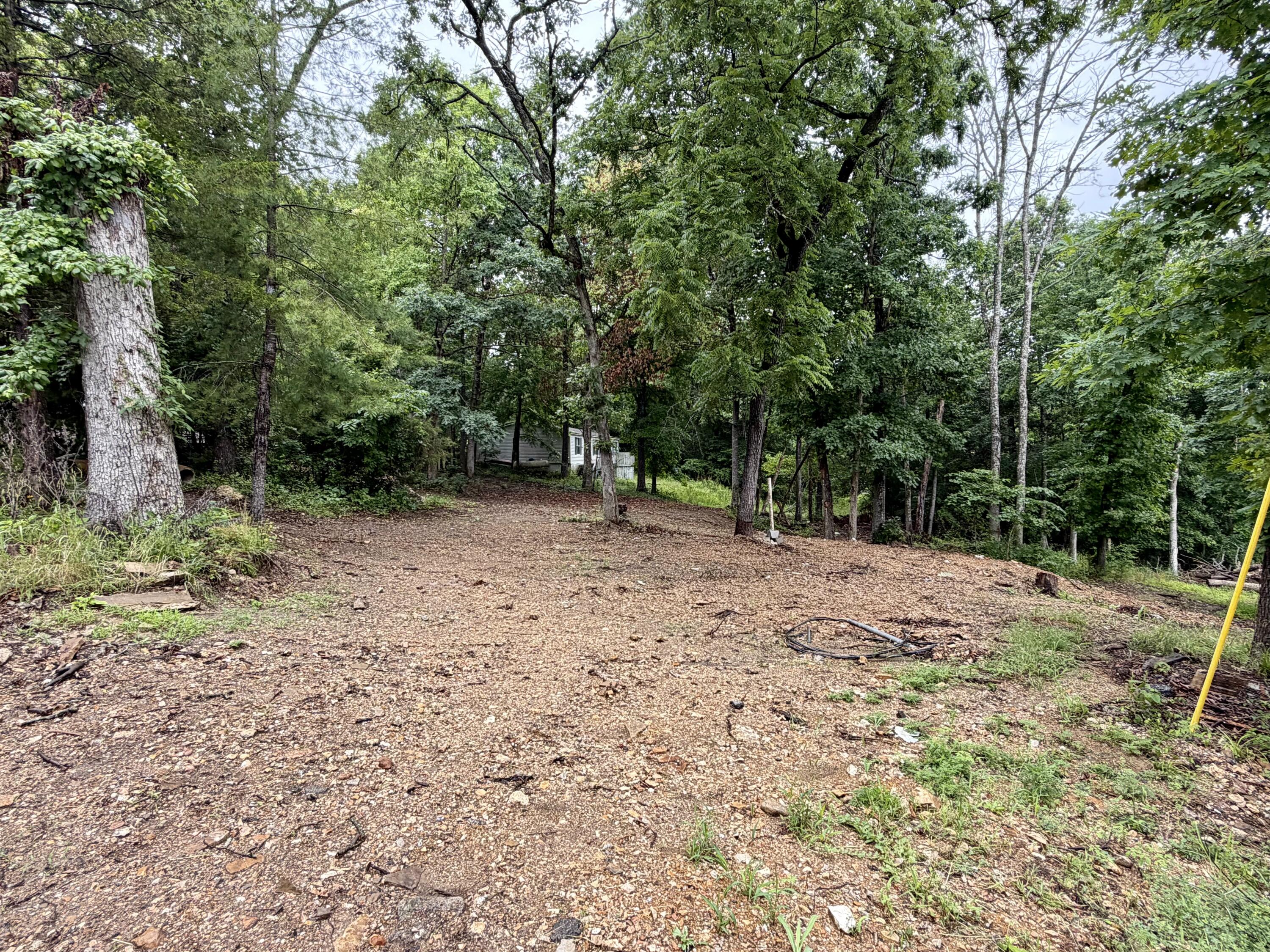 Photo of 817 Taneycomo Road Branson MO 65616