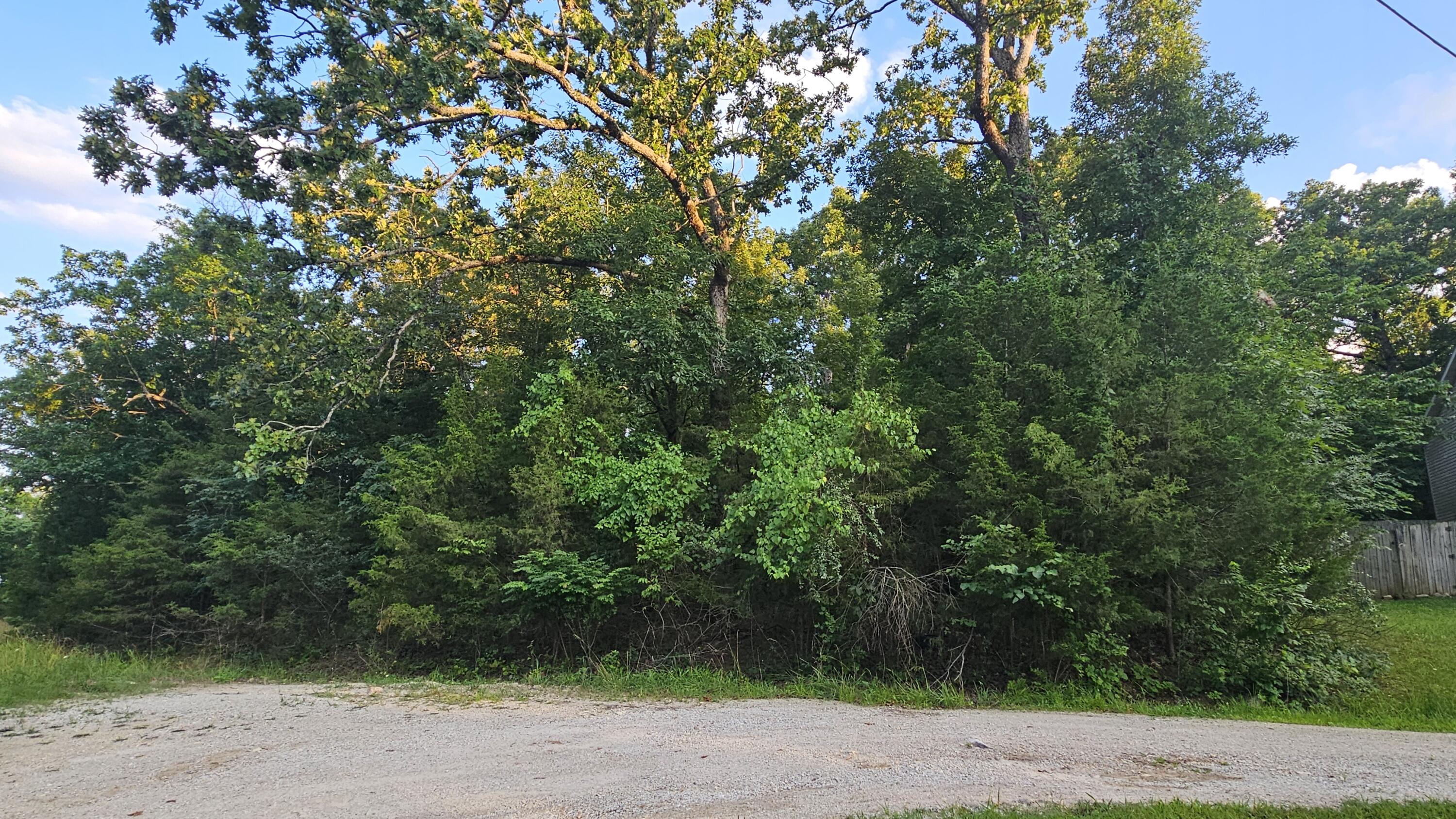Photo of 000 Morningview Merriam Woods MO 65740