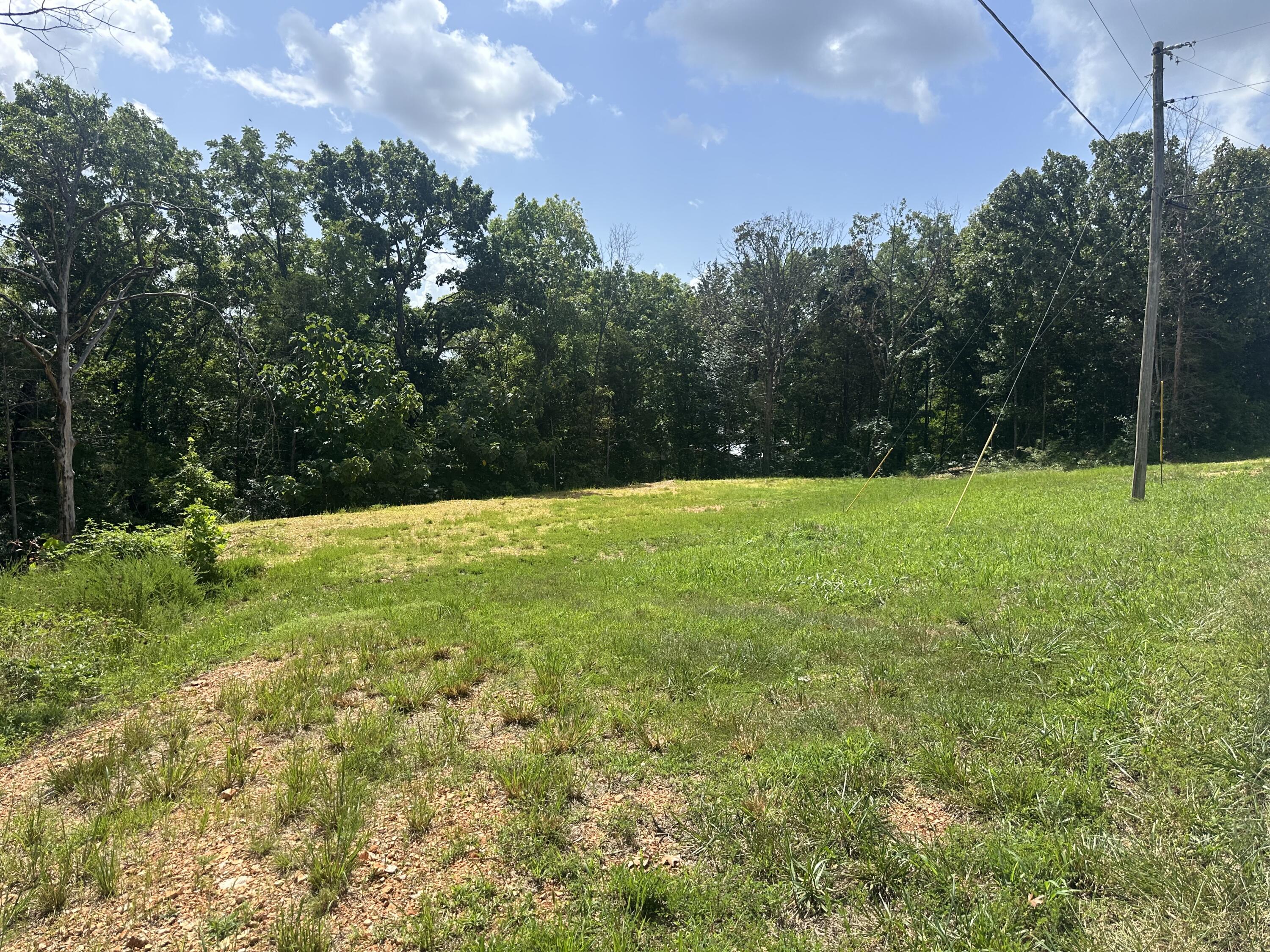 Photo of 234 Goldfinch Lane Shell Knob MO 65747