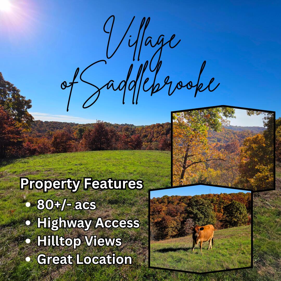 Photo of 000 State Highway Bb Saddlebrooke MO 65630