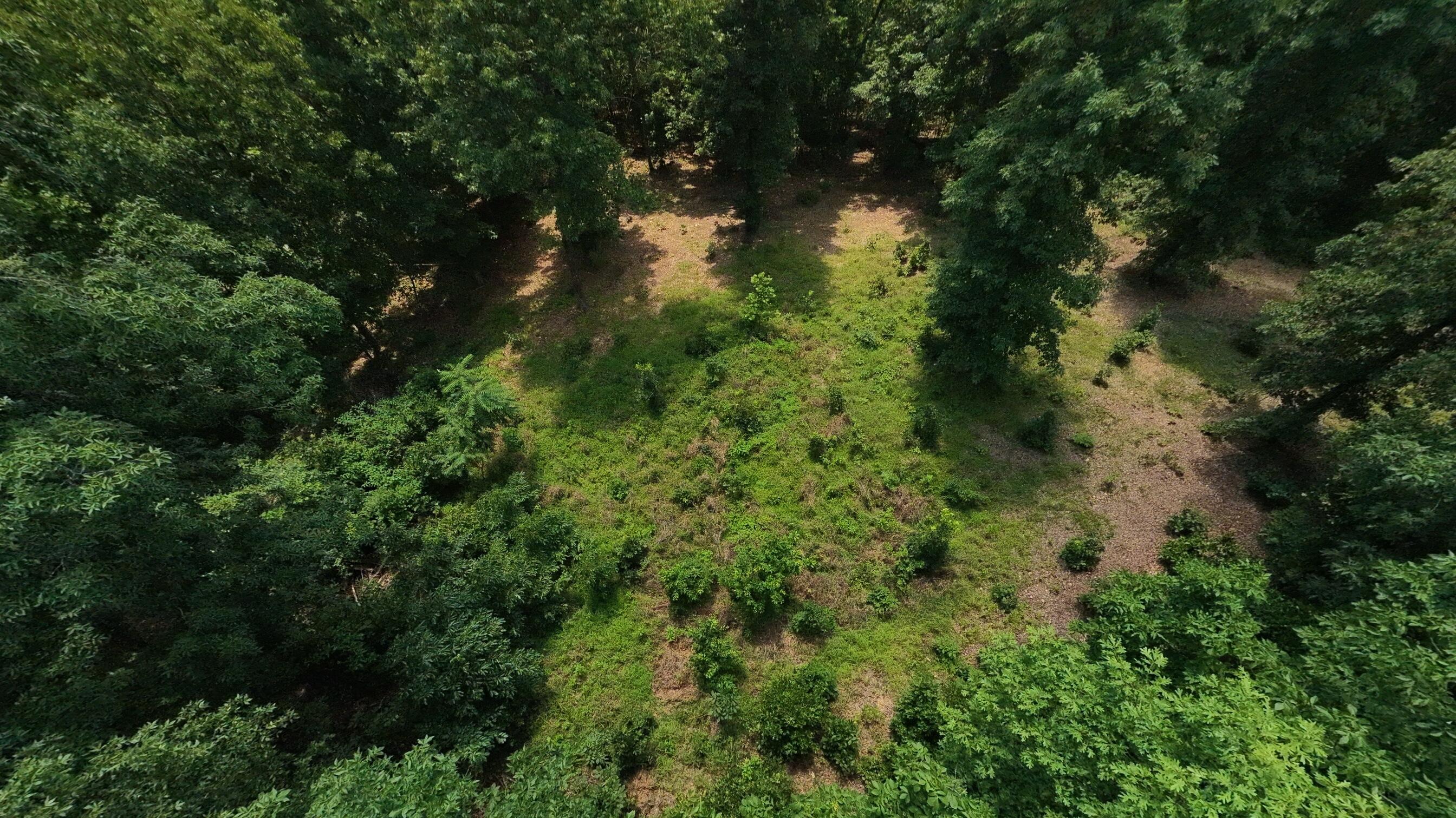 Photo of Tract 4 Upper Janes Creek Road Ravenden AR 72459