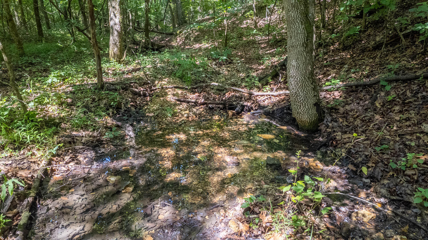 Photo of Tract 3 Upper Janes Creek Road Ravenden AR 72459