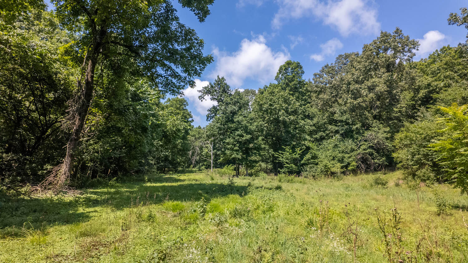 Photo of Tract 1 Upper Janes Creek Road Ravenden AR 72459