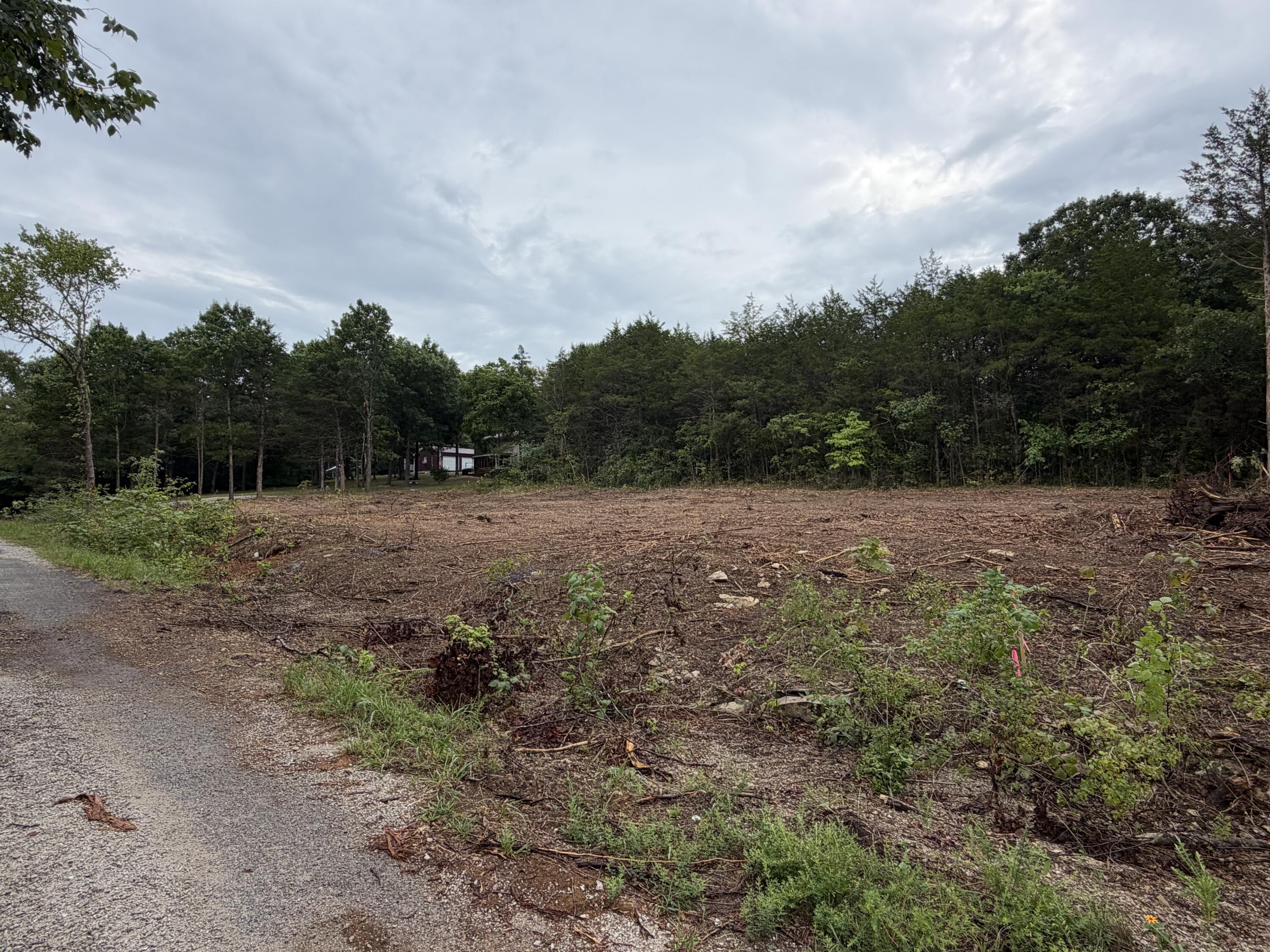 Photo of 278 N Millwood Street Shell Knob MO 65747
