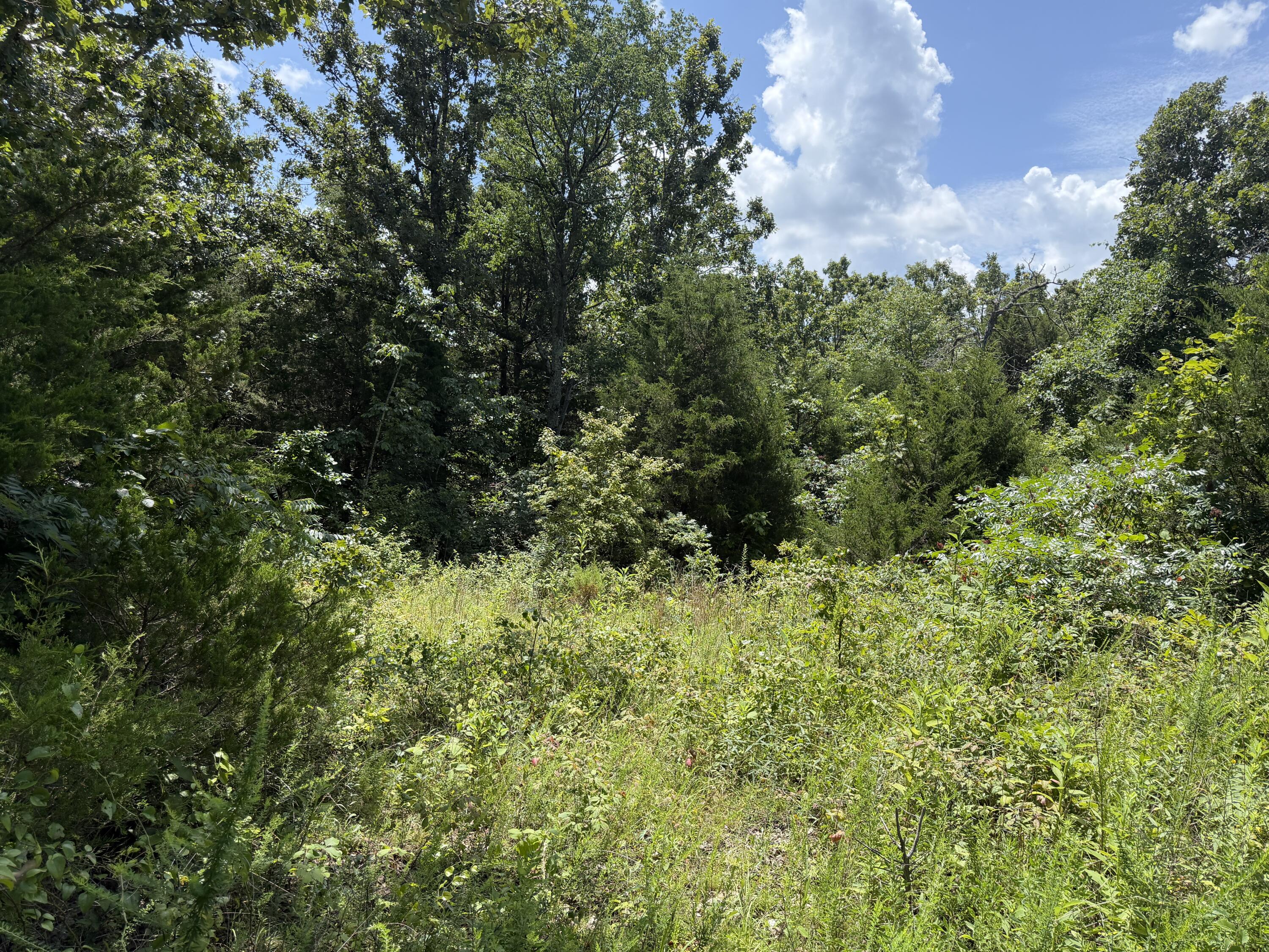 Photo of 000 Ranch Road Willow Springs MO 65793