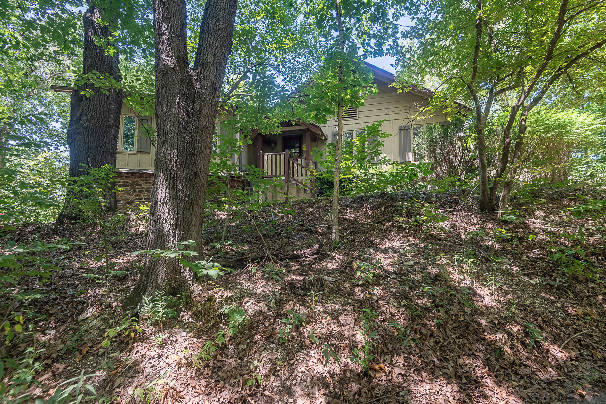 Photo of 4439 E Fox Bluff Lane Springfield MO 65809