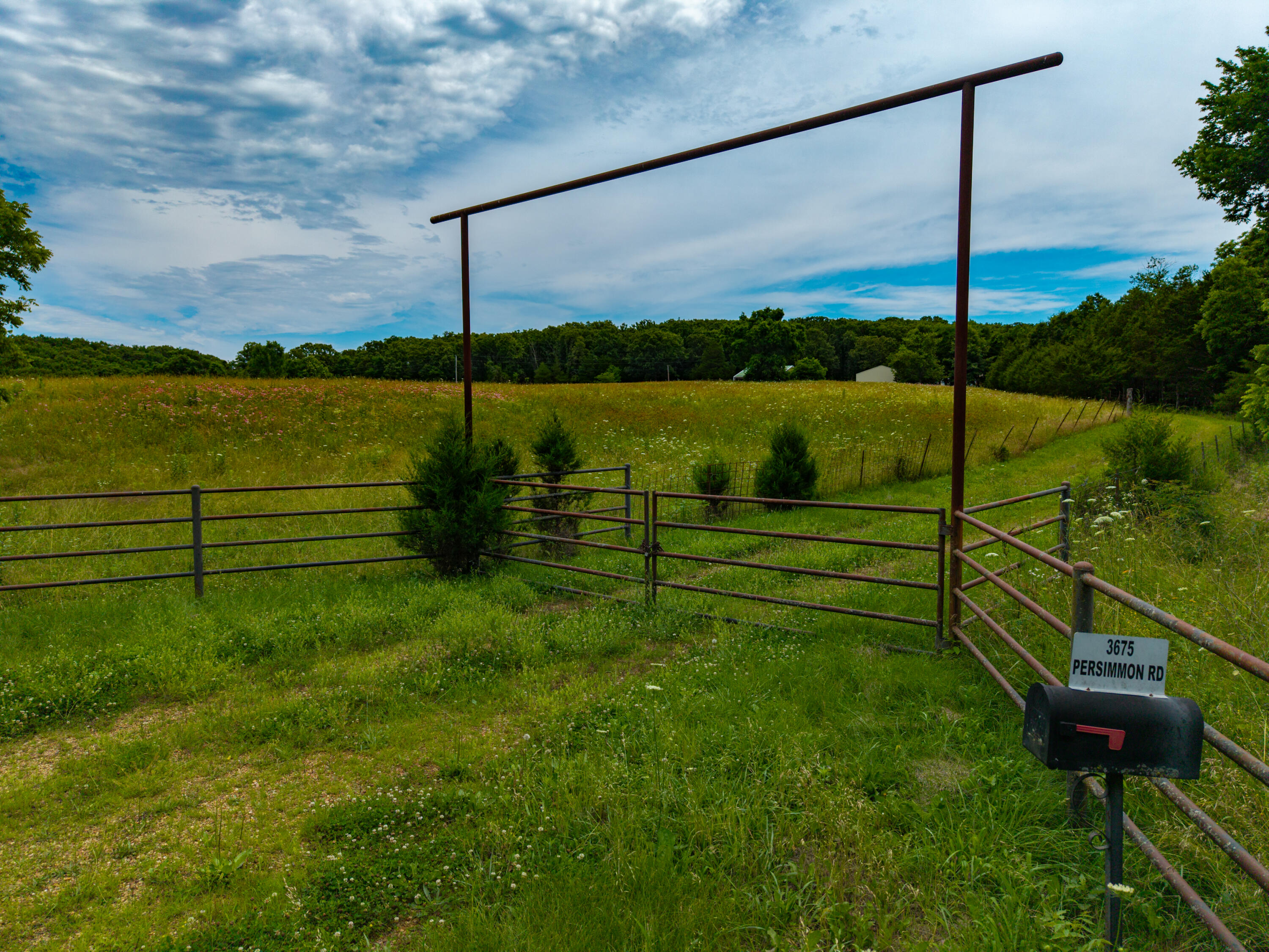 Photo of 3675 Persimmon Road Grovespring MO 65662