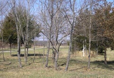 Photo of 2294 State Highway 64 Louisburg MO 65685