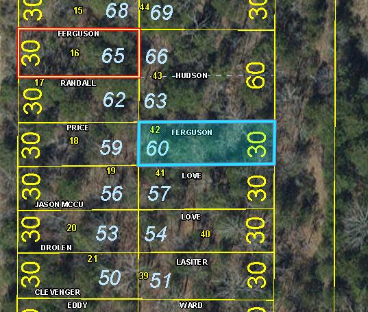 Photo of Lot 60 Gumbo Woods Shell Knob MO 65747
