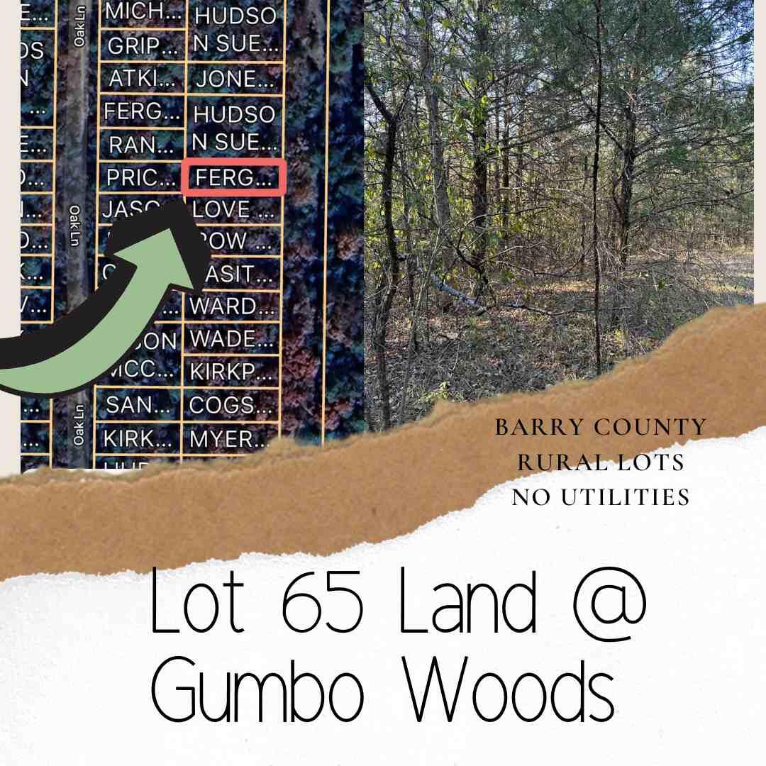 Photo of Lot 65 Gumbo Woods Shell Knob MO 65747