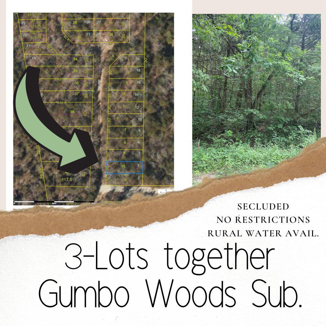 Photo of Lots 3,5,6 Gumbo Woods Shell Knob MO 65747